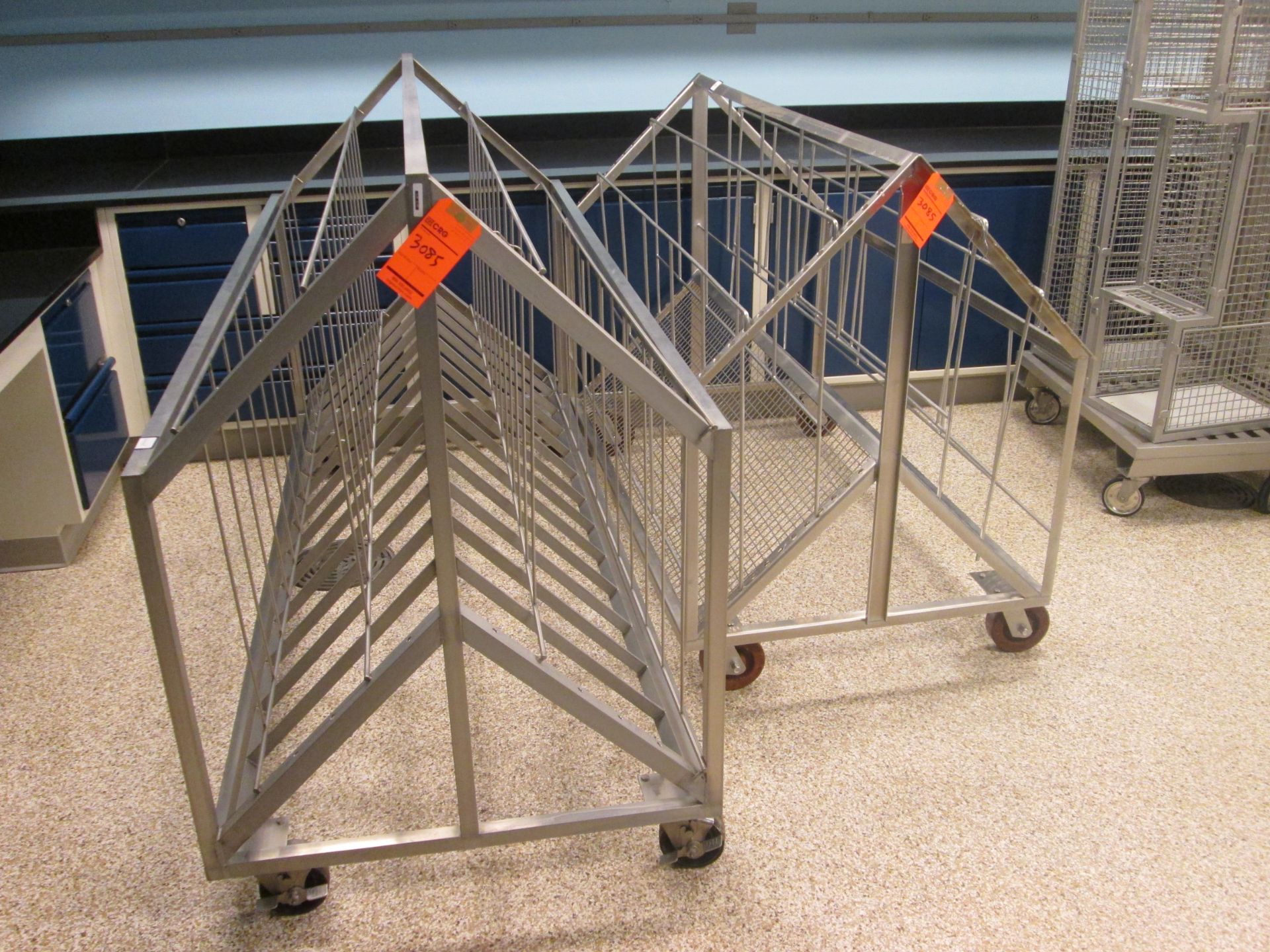 Lot of assorted SS transport carts and cages, etc.