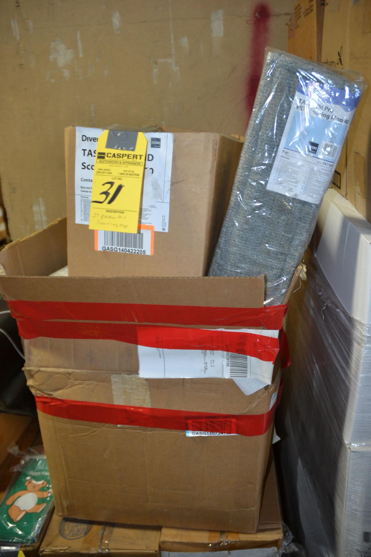 PACKAGES OF SCOURING MOPS