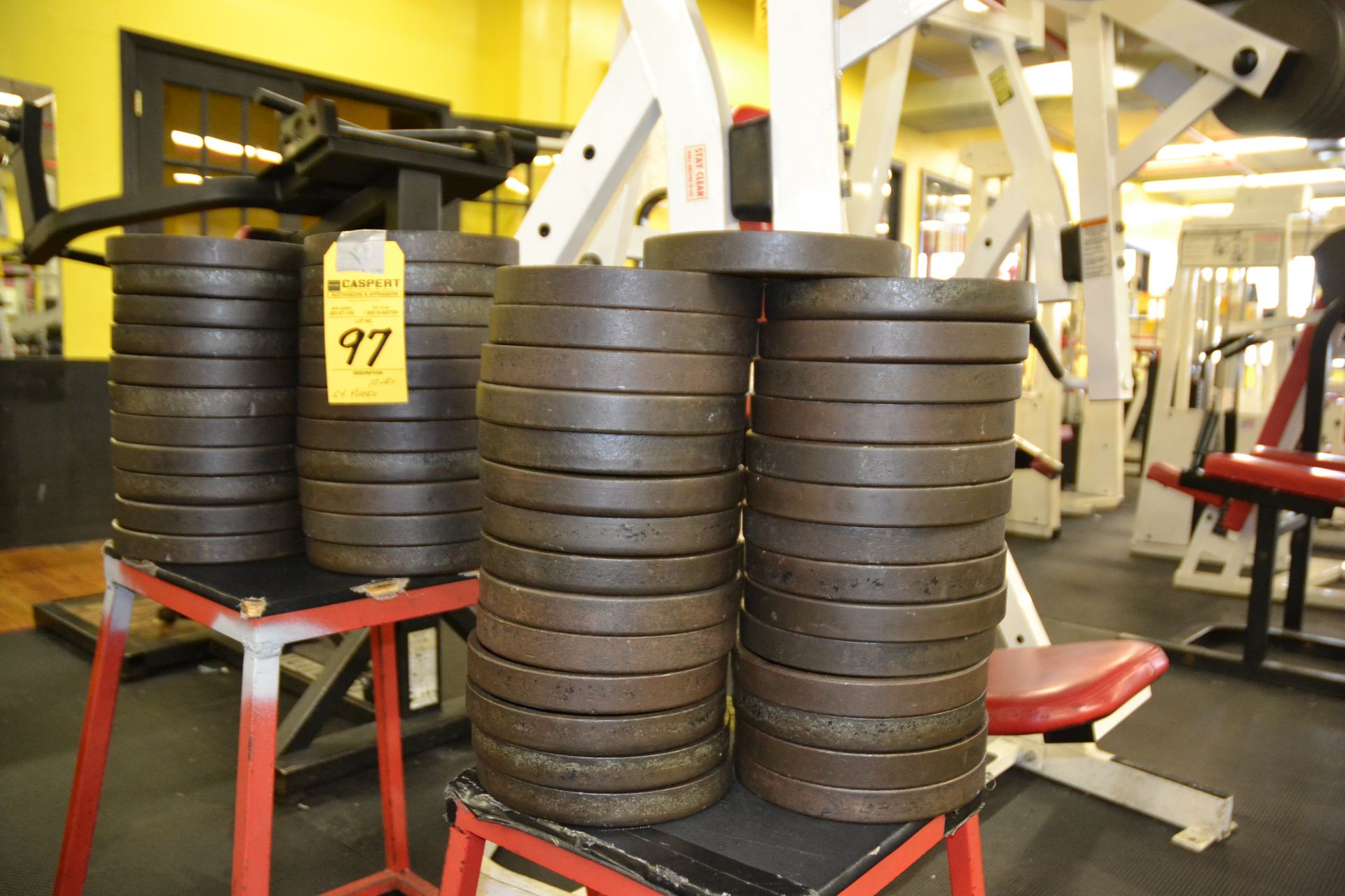 10 LB. PLATE WEIGHTS