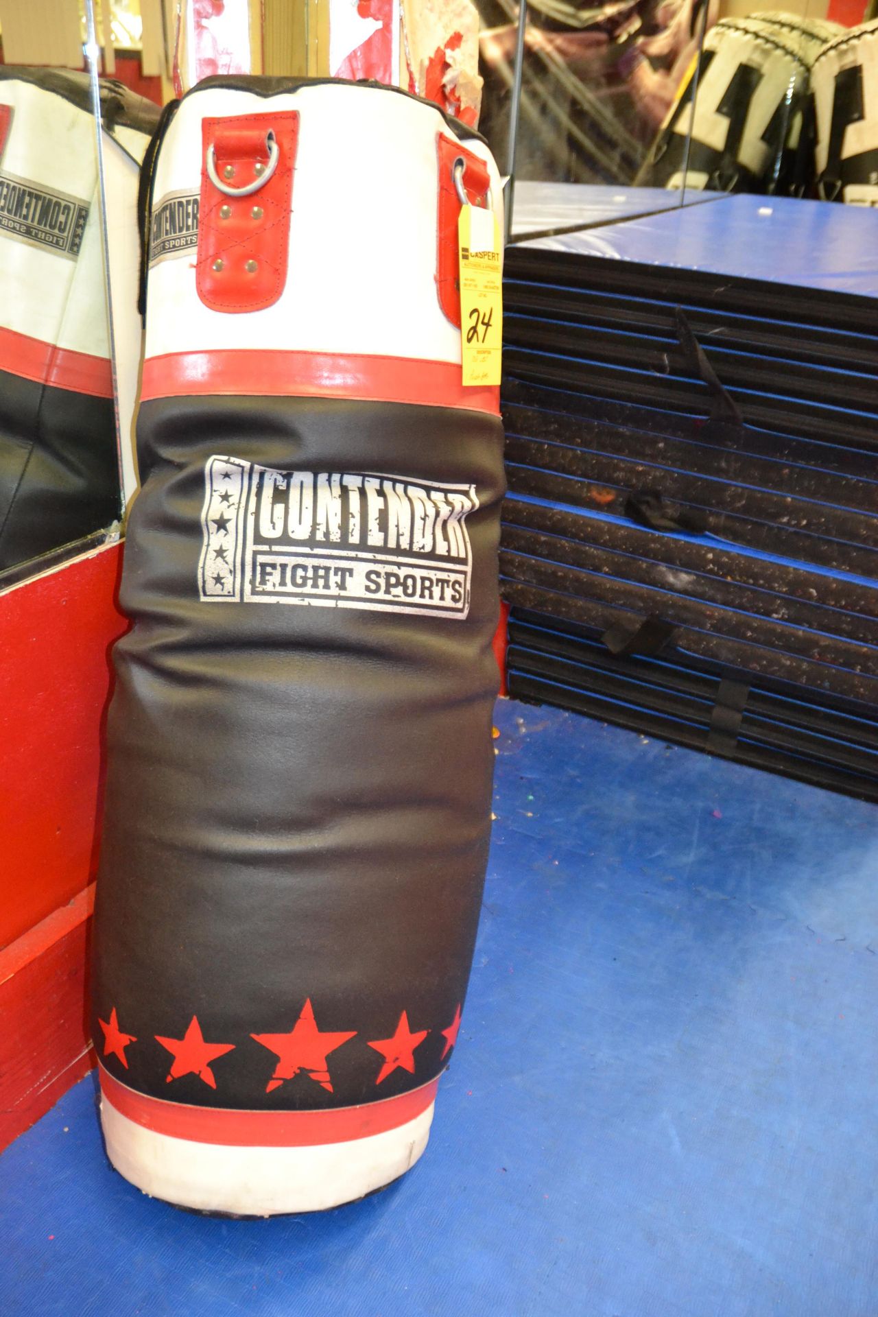 100 LB. PUNCH BAG