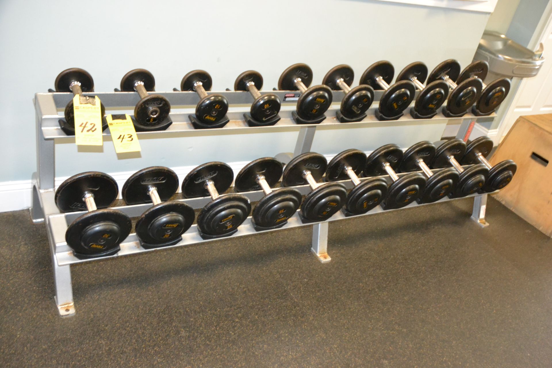 DUMBELLS 5 LB. - 50 LB.