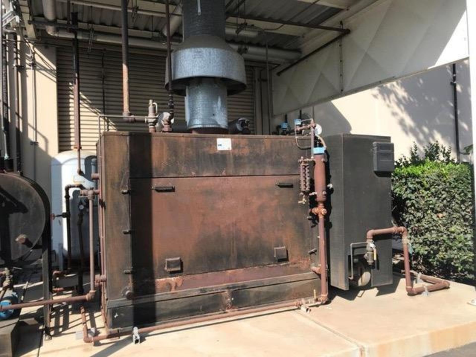 Thomas Continuous Coater and Boiler - Image 12 of 15
