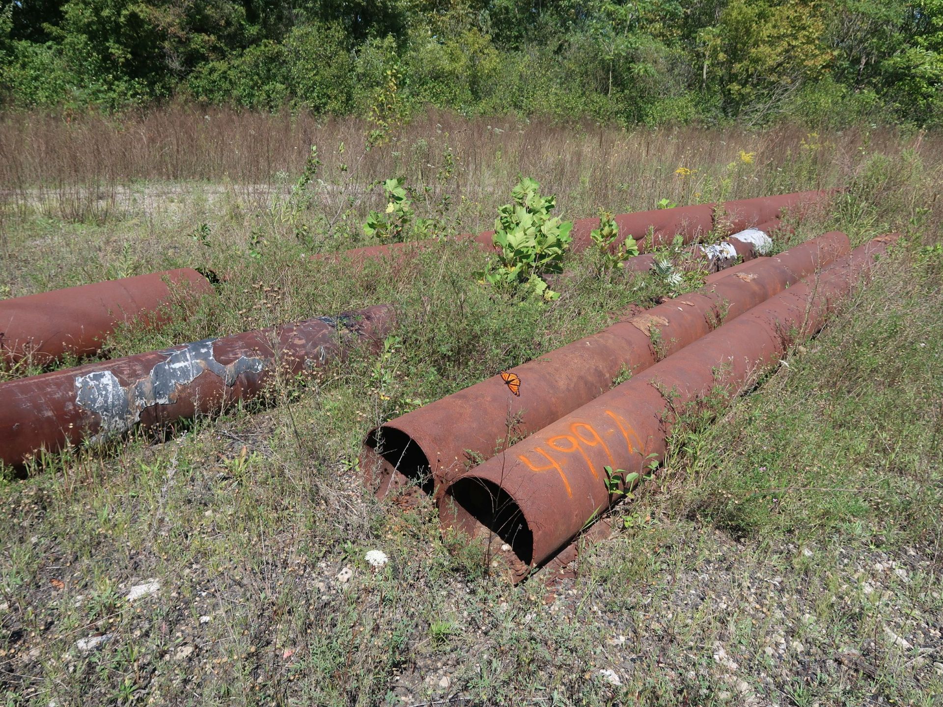 (LOT) CLOW DUCTILE IRON PIPE (10" ID X 18' LONG) APPROX. (75) JOINTS AND (6) PIECES OF ASSORTED - Image 4 of 4