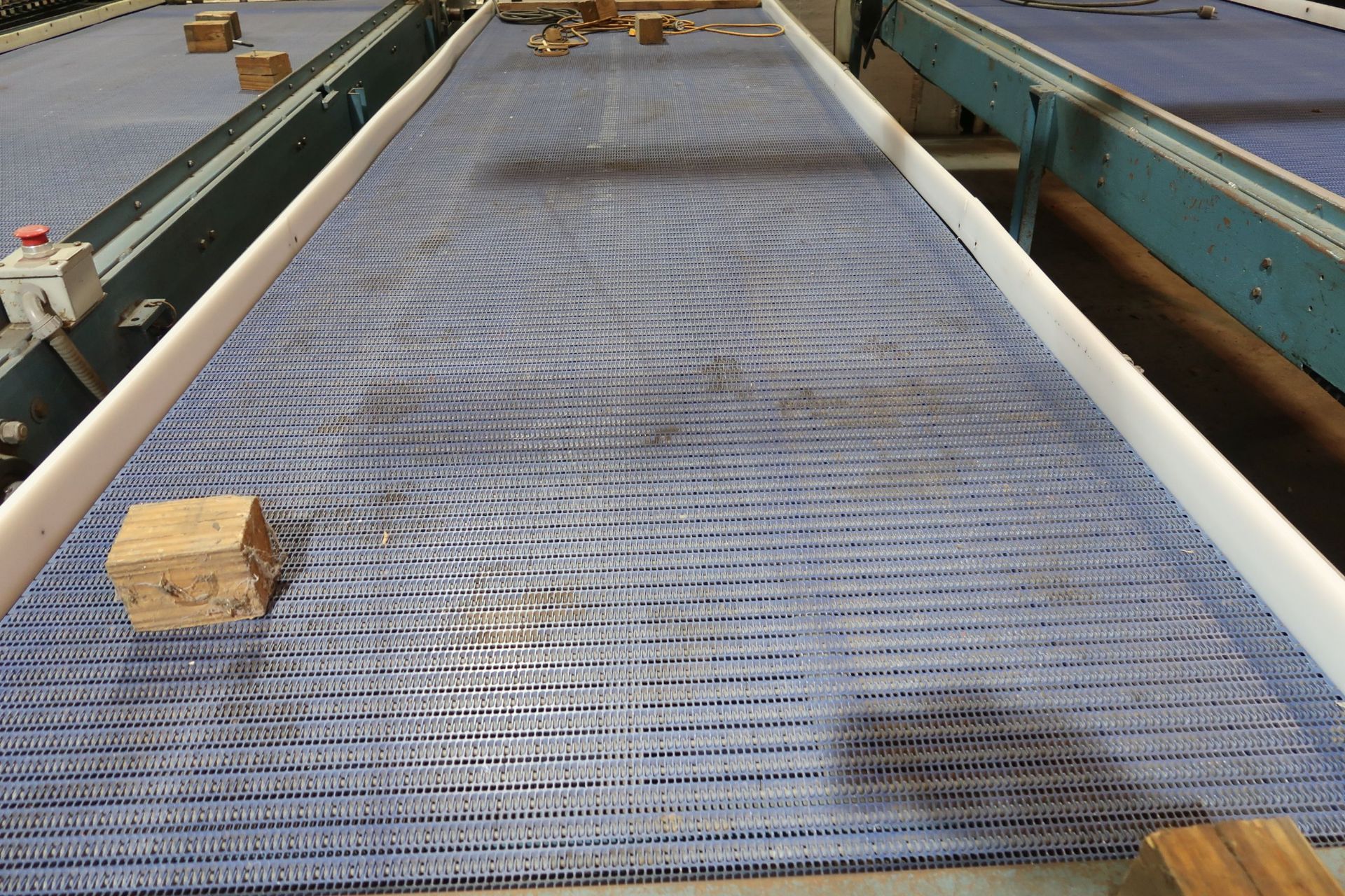 4' W X 16' L PLASTIC BELT CONVEYOR - Image 2 of 2