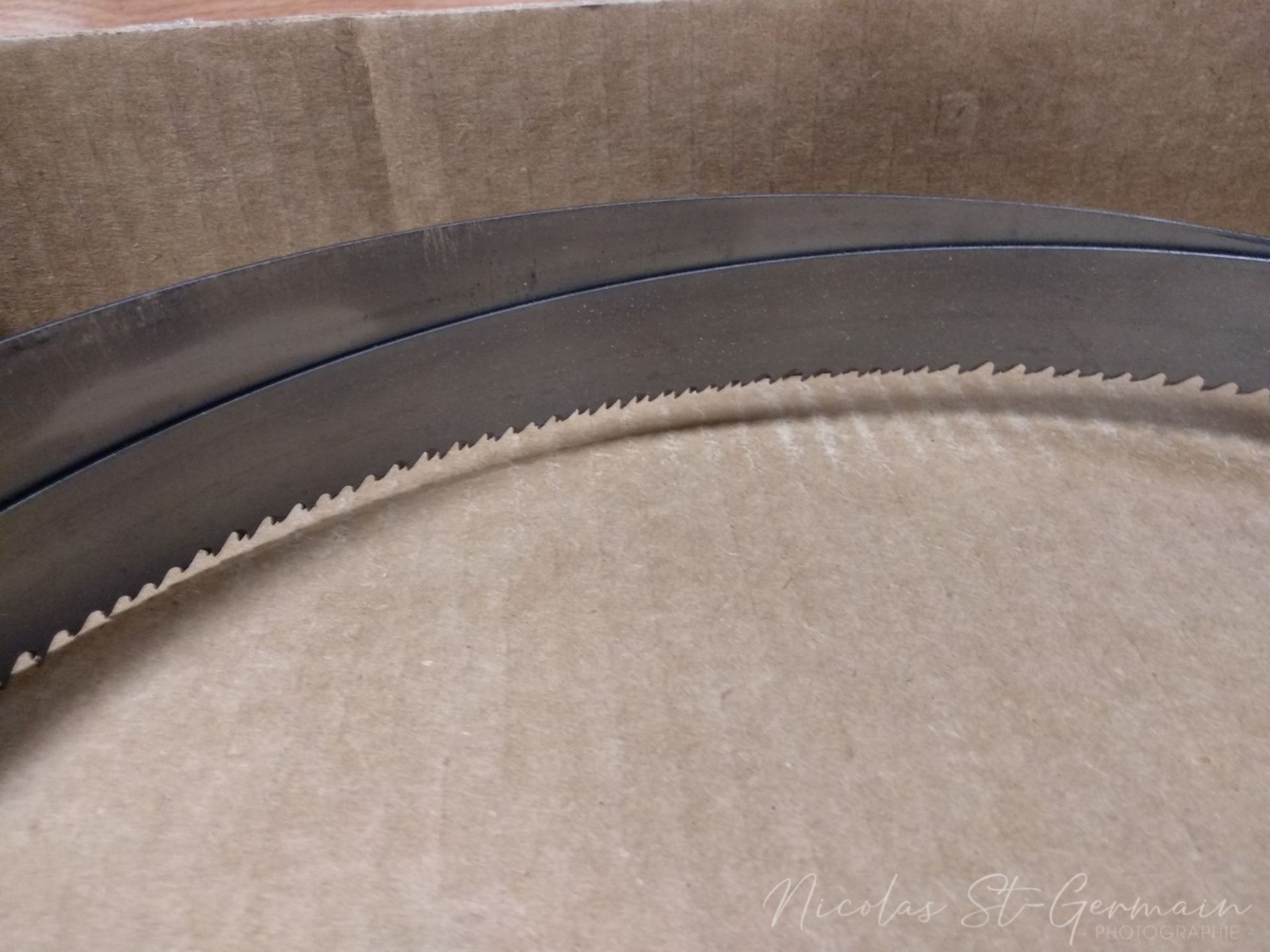 Bansaw Blade (New) - Image 3 of 4