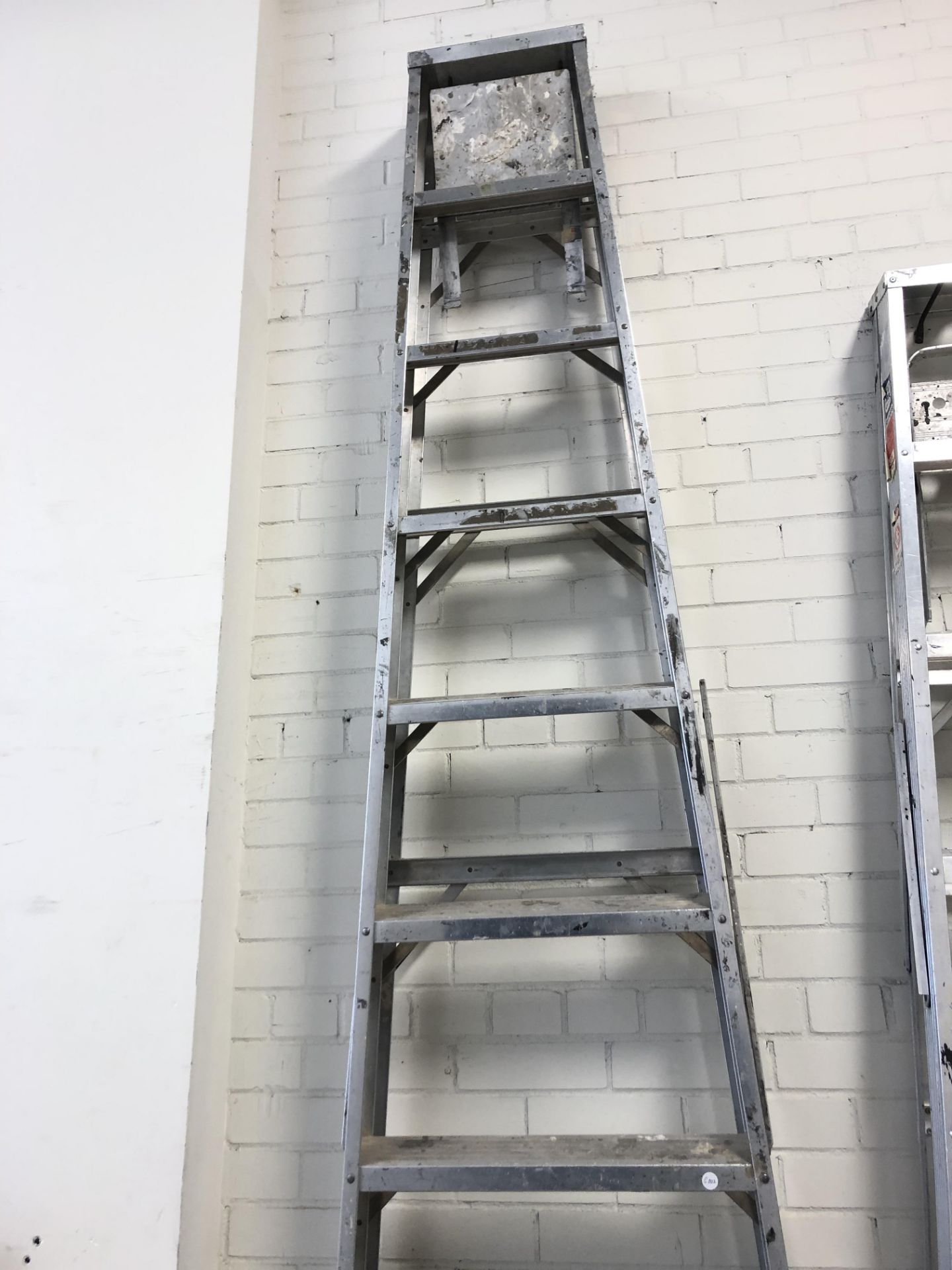 Ladder - Aluminum- 10ft (C002)