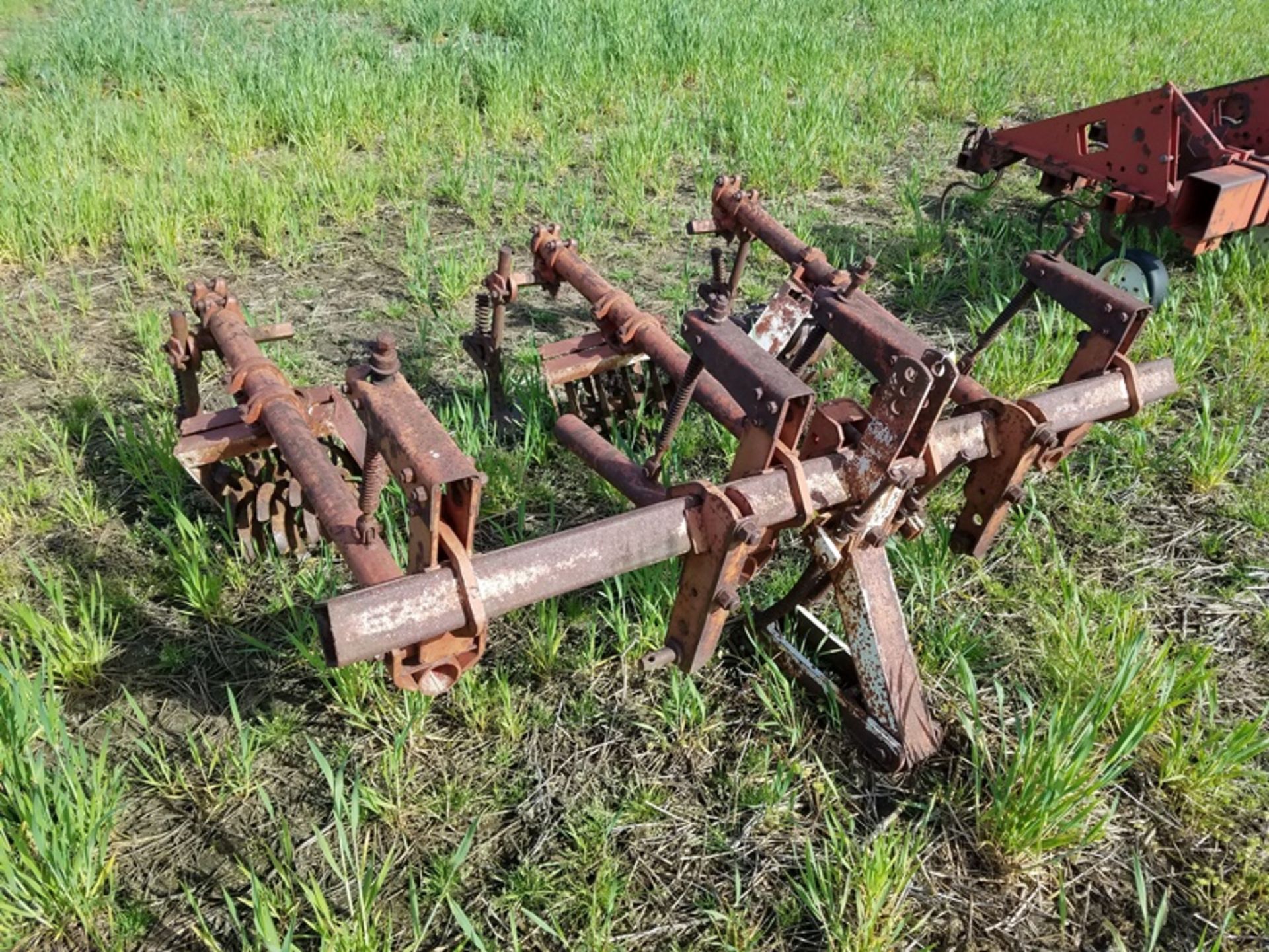 Lilliston 2 row rolling cultivator