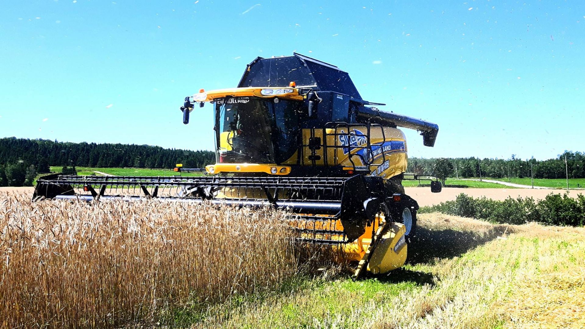 2008 NEW HOLLAND CX8080 Combine Harvester, 4700 Sep.hrs