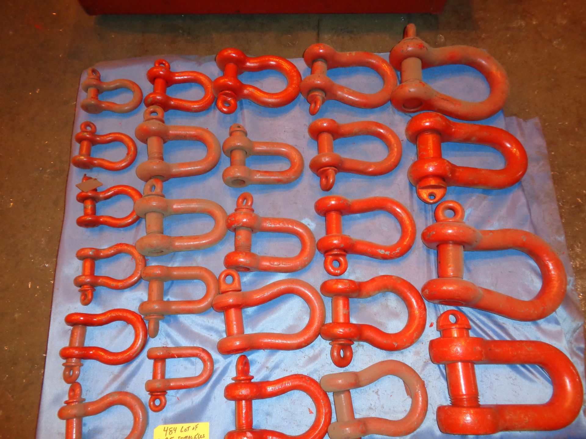 Lot of 25 Shackles (484) - Image 3 of 10