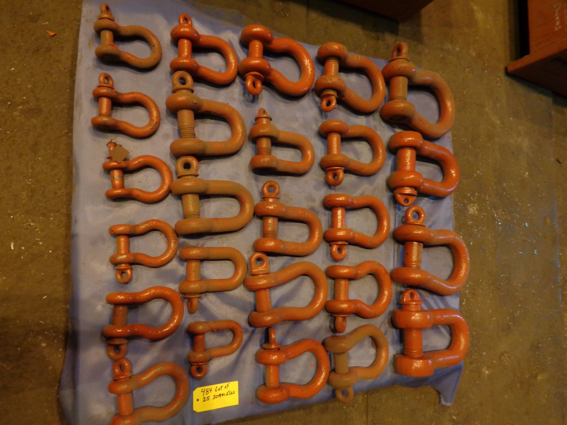 Lot of 25 Shackles (484) - Image 5 of 10