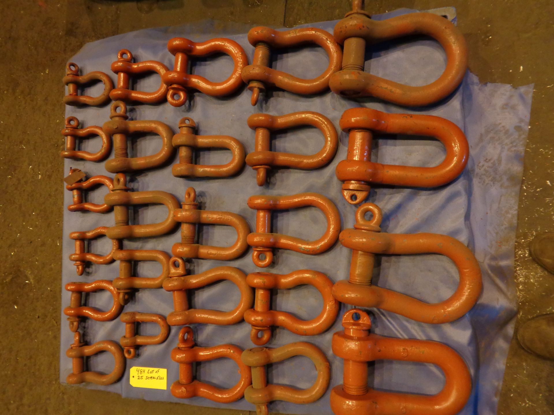 Lot of 25 Shackles (484) - Image 7 of 10