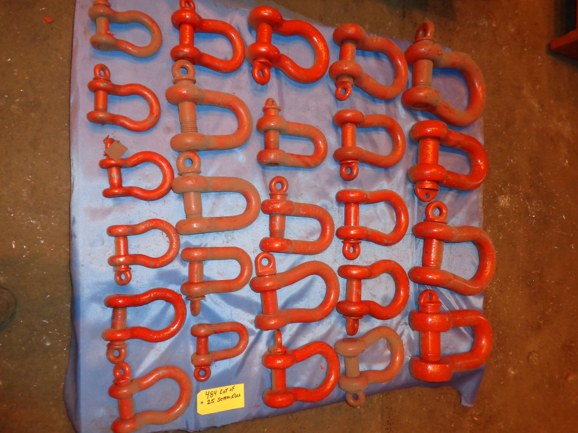 Lot of 25 Shackles (484) - Image 4 of 10