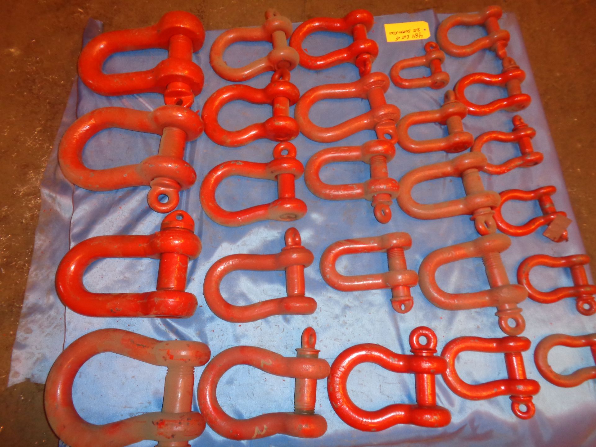 Lot of 25 Shackles (484)
