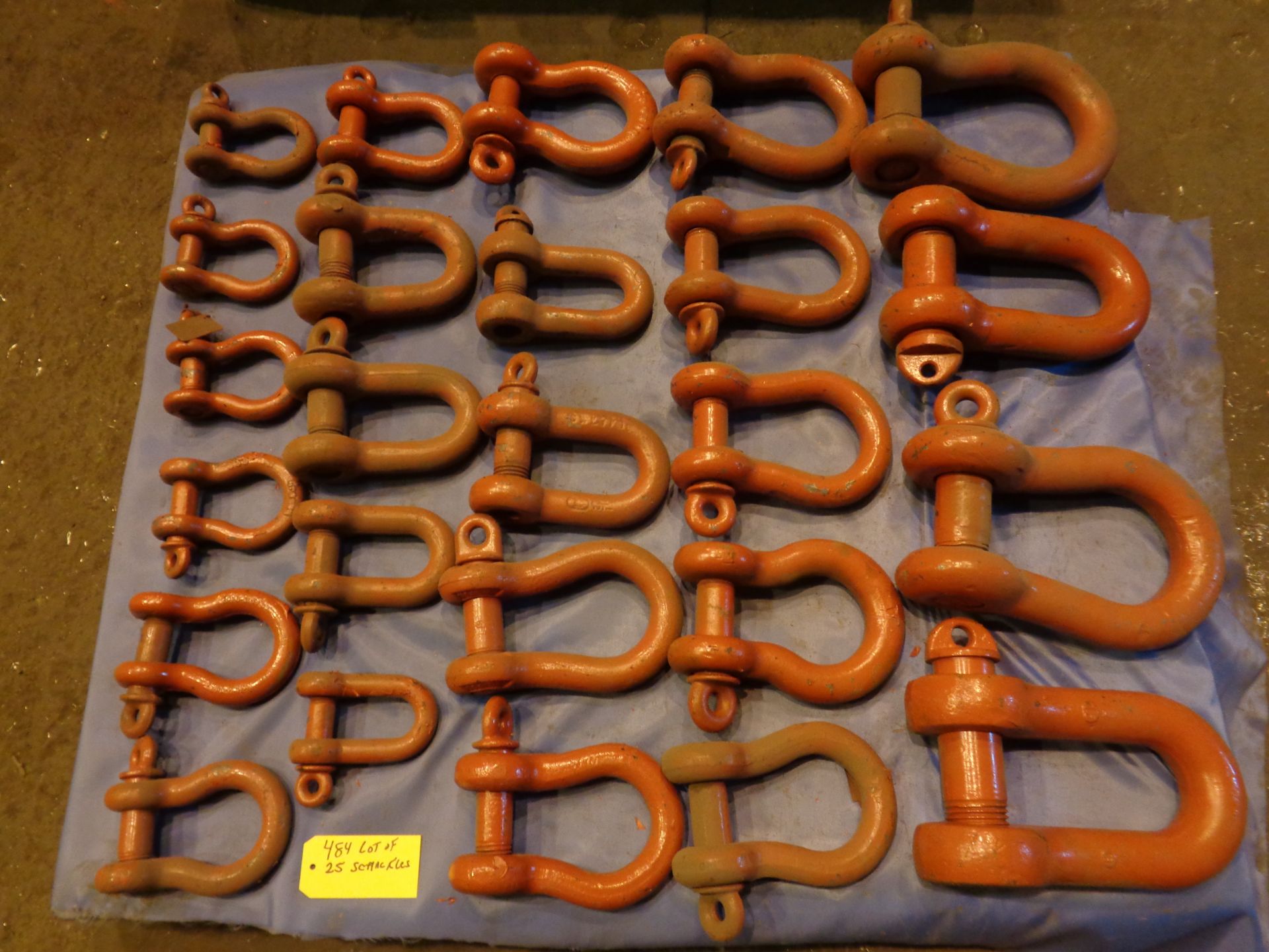 Lot of 25 Shackles (484) - Image 8 of 10