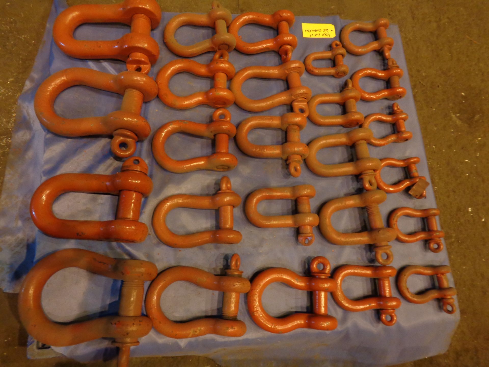 Lot of 25 Shackles (484) - Image 6 of 10