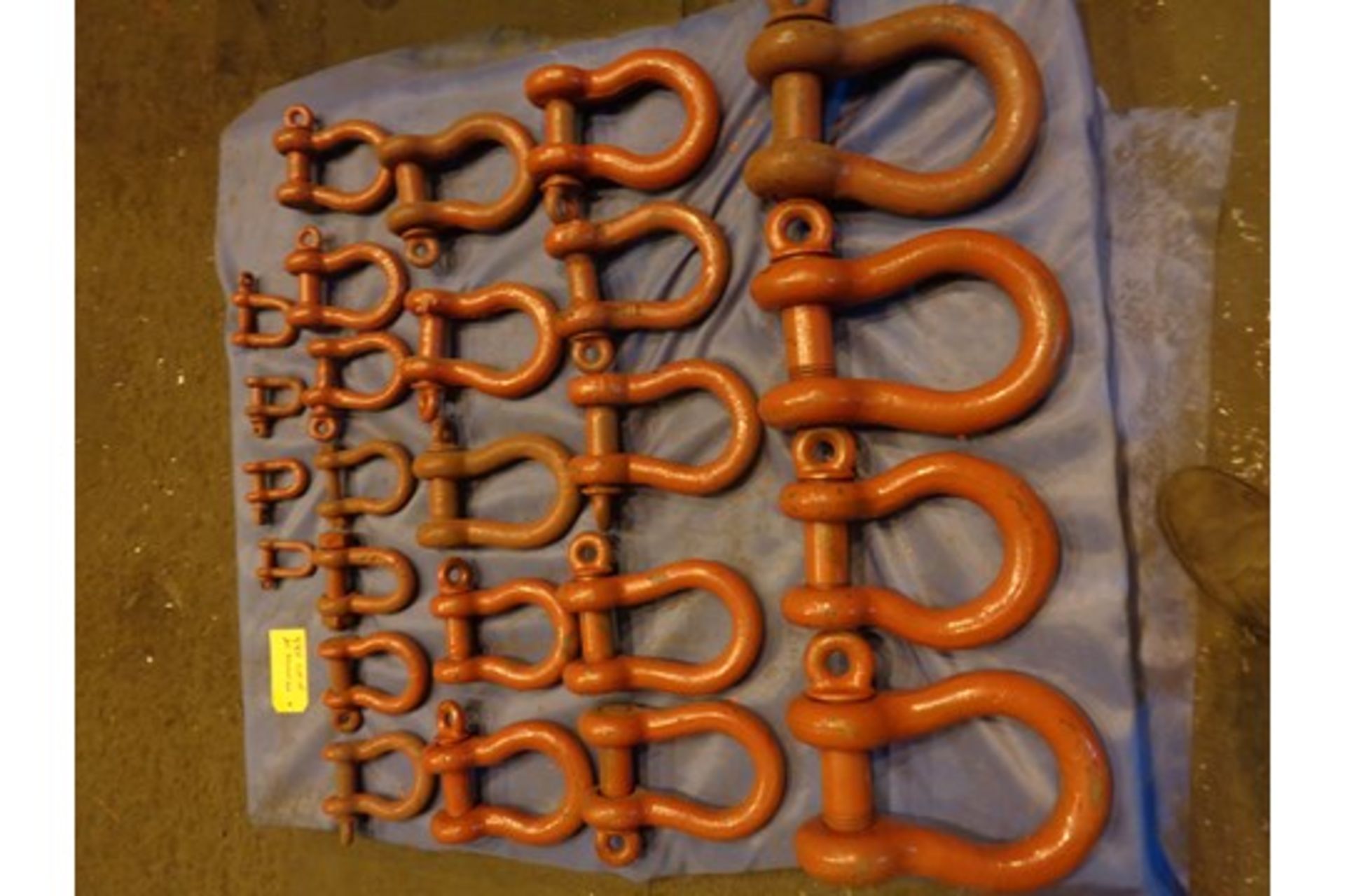 Lot of 25 Shackles (485) - Image 6 of 8