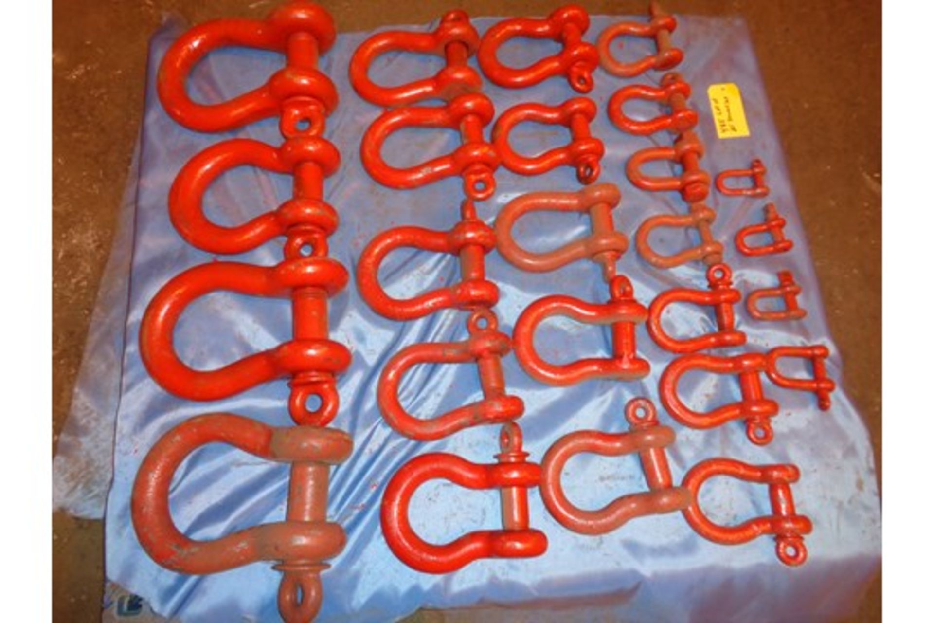 Lot of 25 Shackles (485)