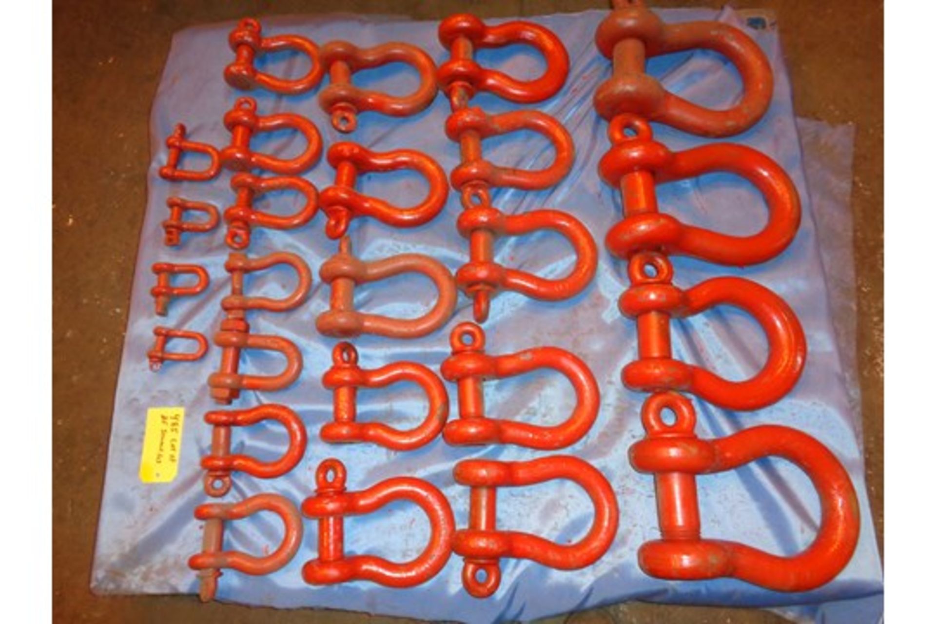 Lot of 25 Shackles (485) - Image 5 of 8