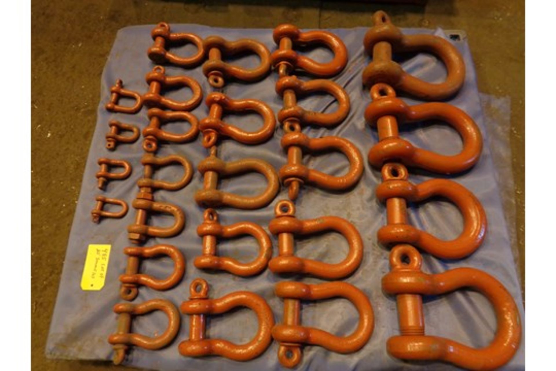 Lot of 25 Shackles (485) - Image 7 of 8