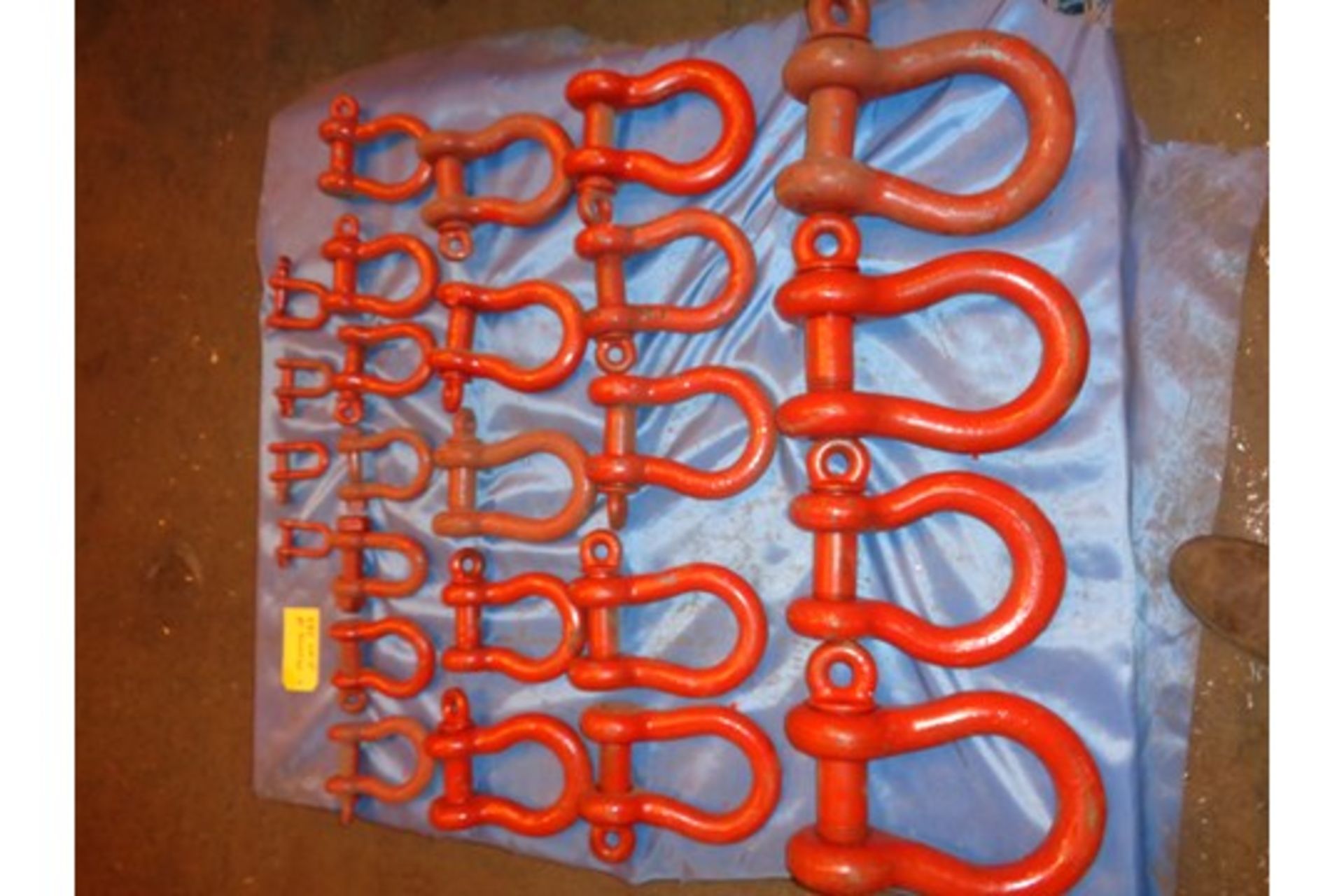 Lot of 25 Shackles (485) - Image 3 of 8
