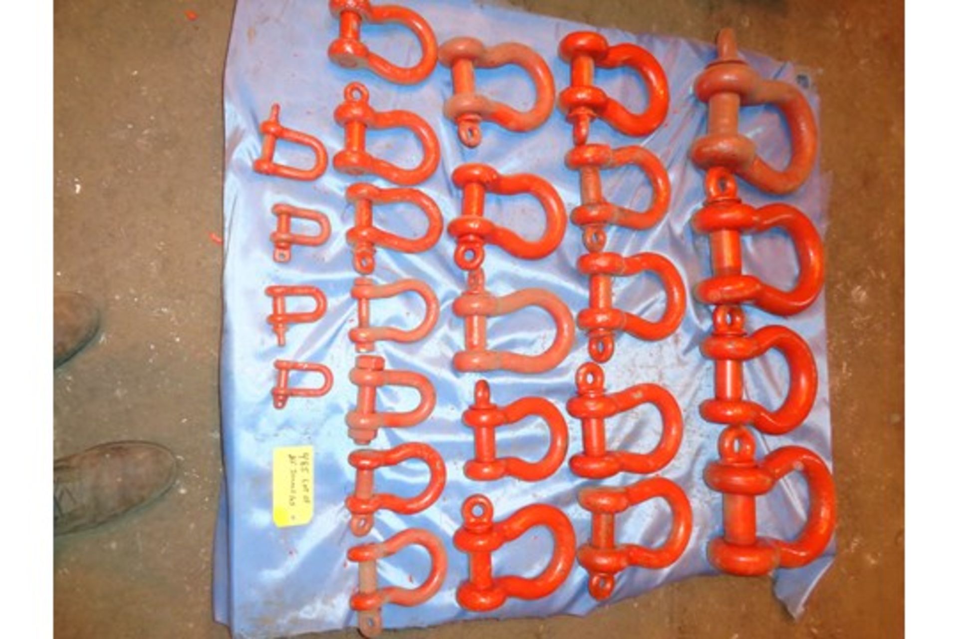 Lot of 25 Shackles (#485)