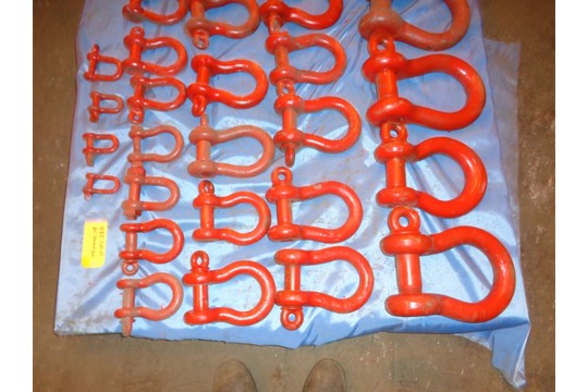 Lot of 25 Shackles (#485) - Image 4 of 8