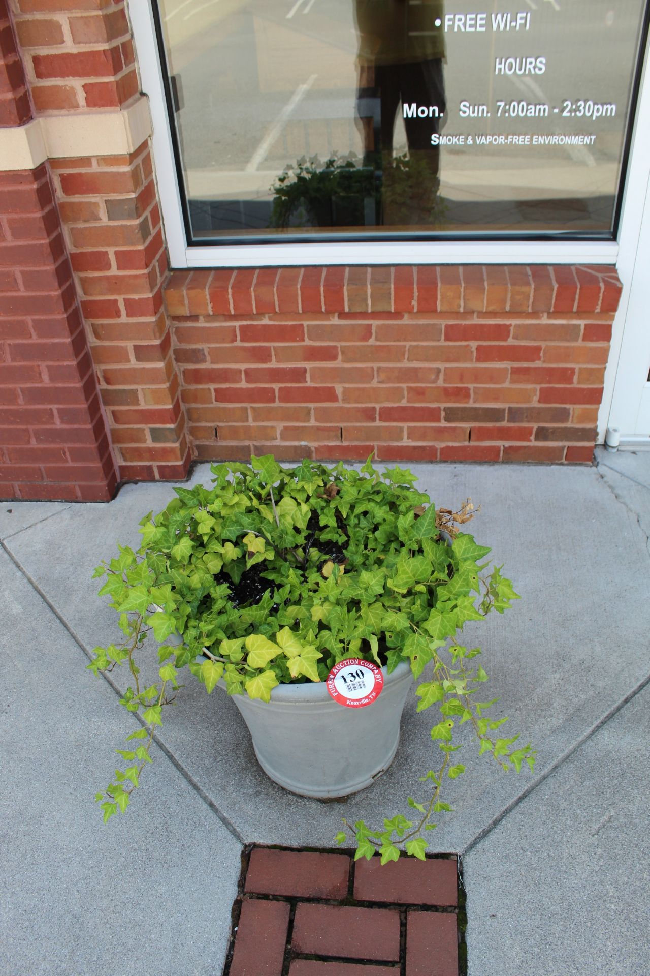 (2) Large Potted Plants In Entry