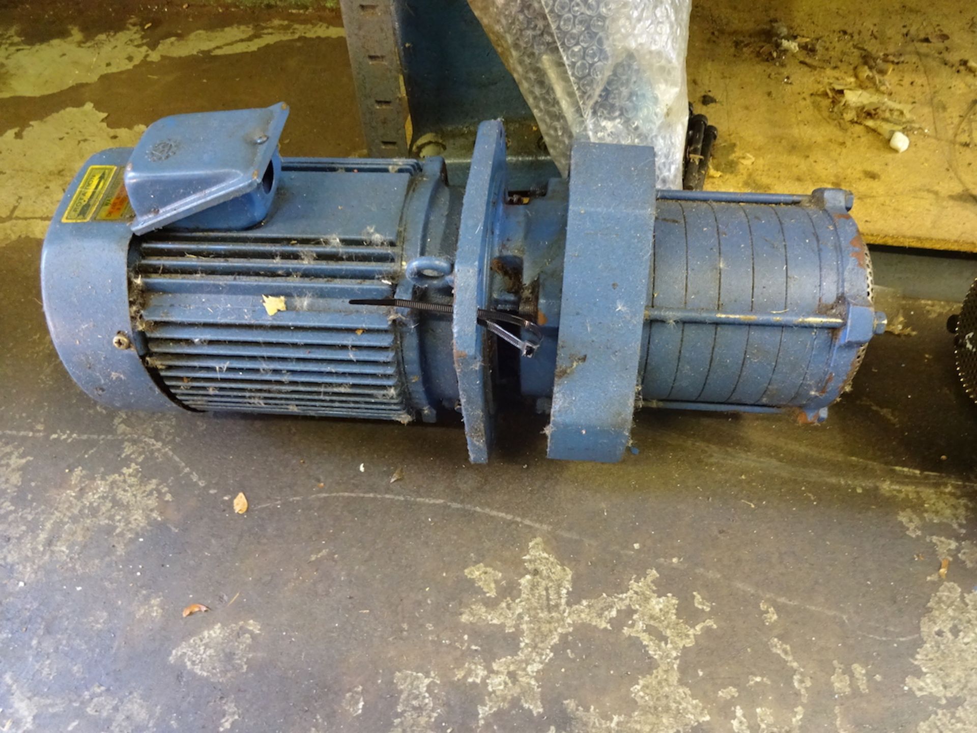 LOT: (2) Assorted Pumps - Image 2 of 2