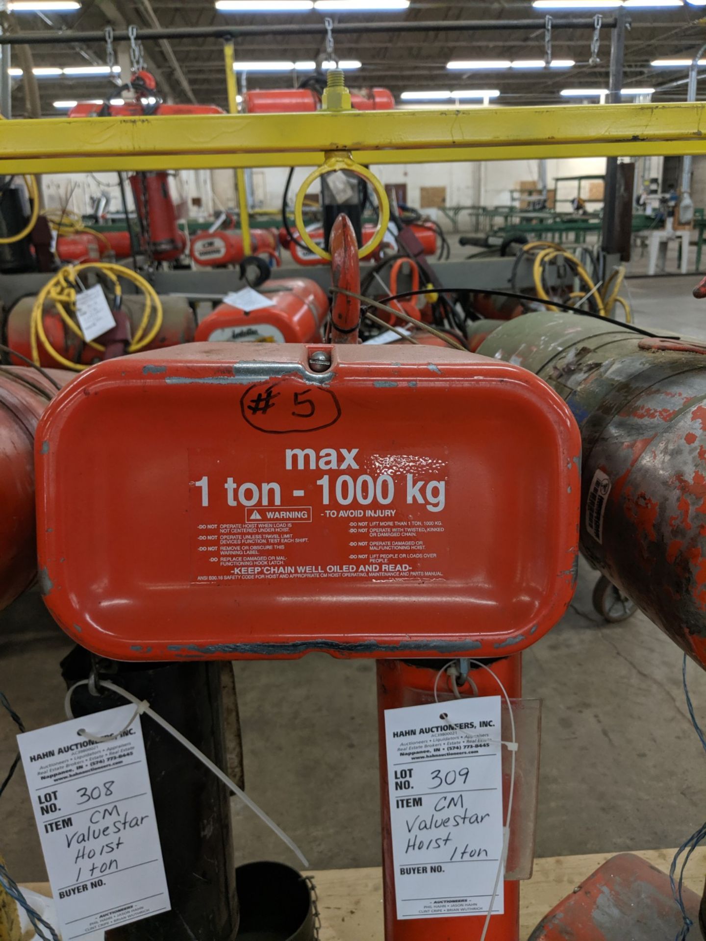 CM electric Hoist