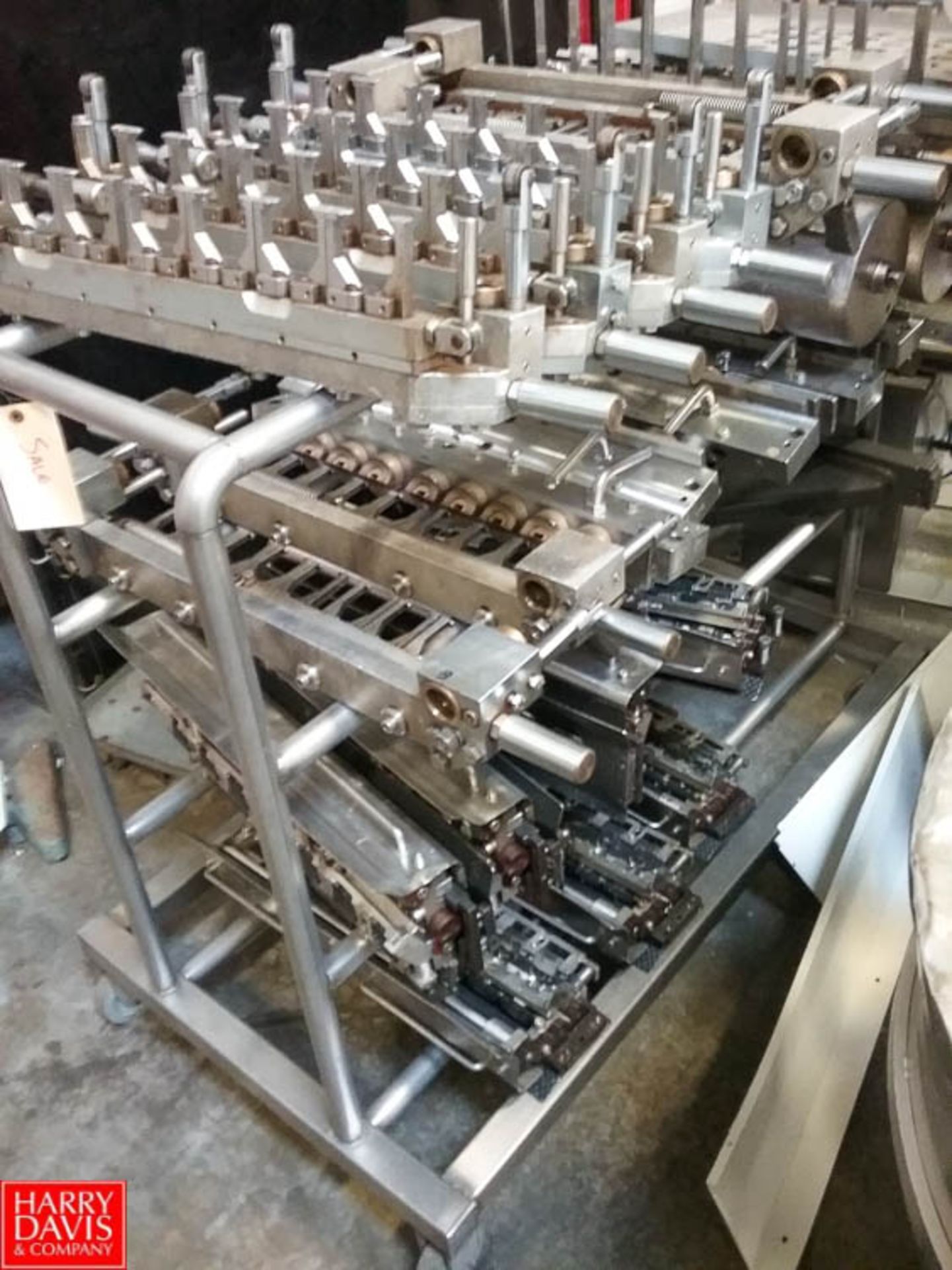 Agnelli Tortellini Machine Model A540, with S/S Frame Scrap Conveyor Rigging Fee: $400 - Image 3 of 3