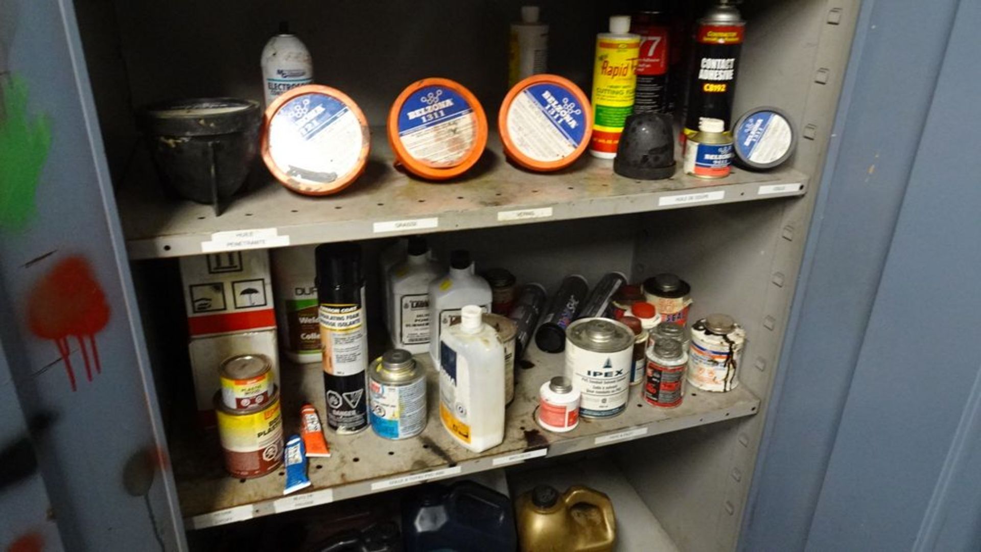 TWO DOOR STORAGE CABINET C/W ASSORTED PAINT, LUBRICANTS ETC. (RIGGING FEE $25) - Image 3 of 5