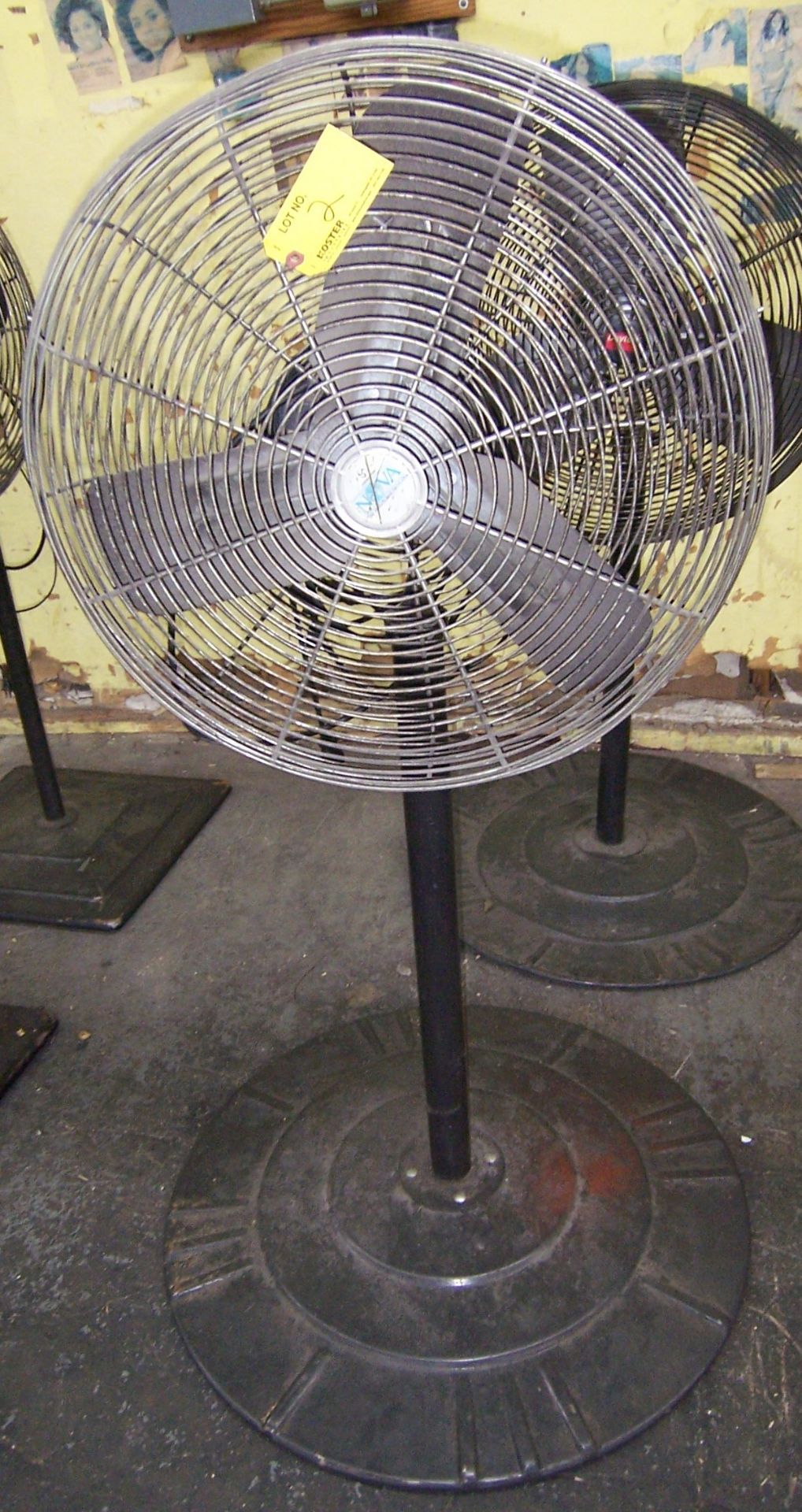 (2) PEDESTAL FANS