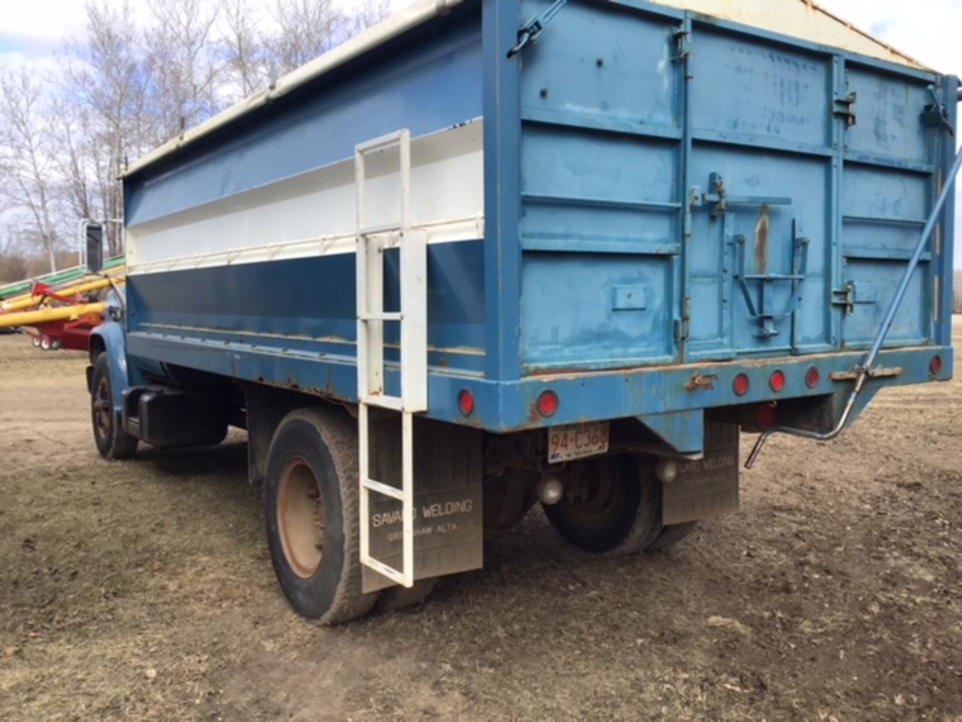 1981 Chev C-60 S/A Grain Truck w/16' Steel Box, scissor Hoist, Roll Tarp, SN 1GBL7D1BXBV117272 - Image 4 of 6