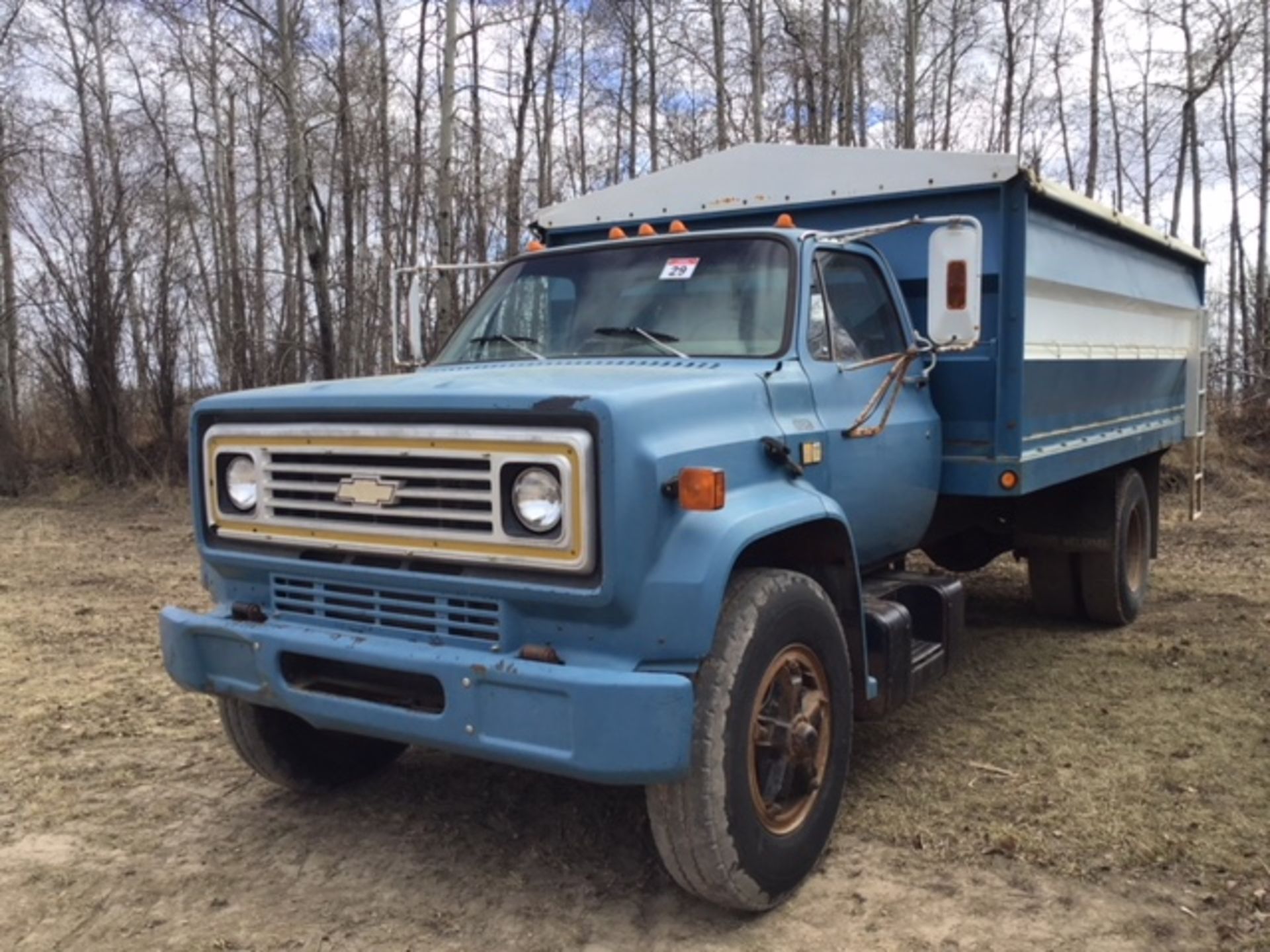 1981 Chev C-60 S/A Grain Truck w/16' Steel Box, scissor Hoist, Roll Tarp, SN 1GBL7D1BXBV117272