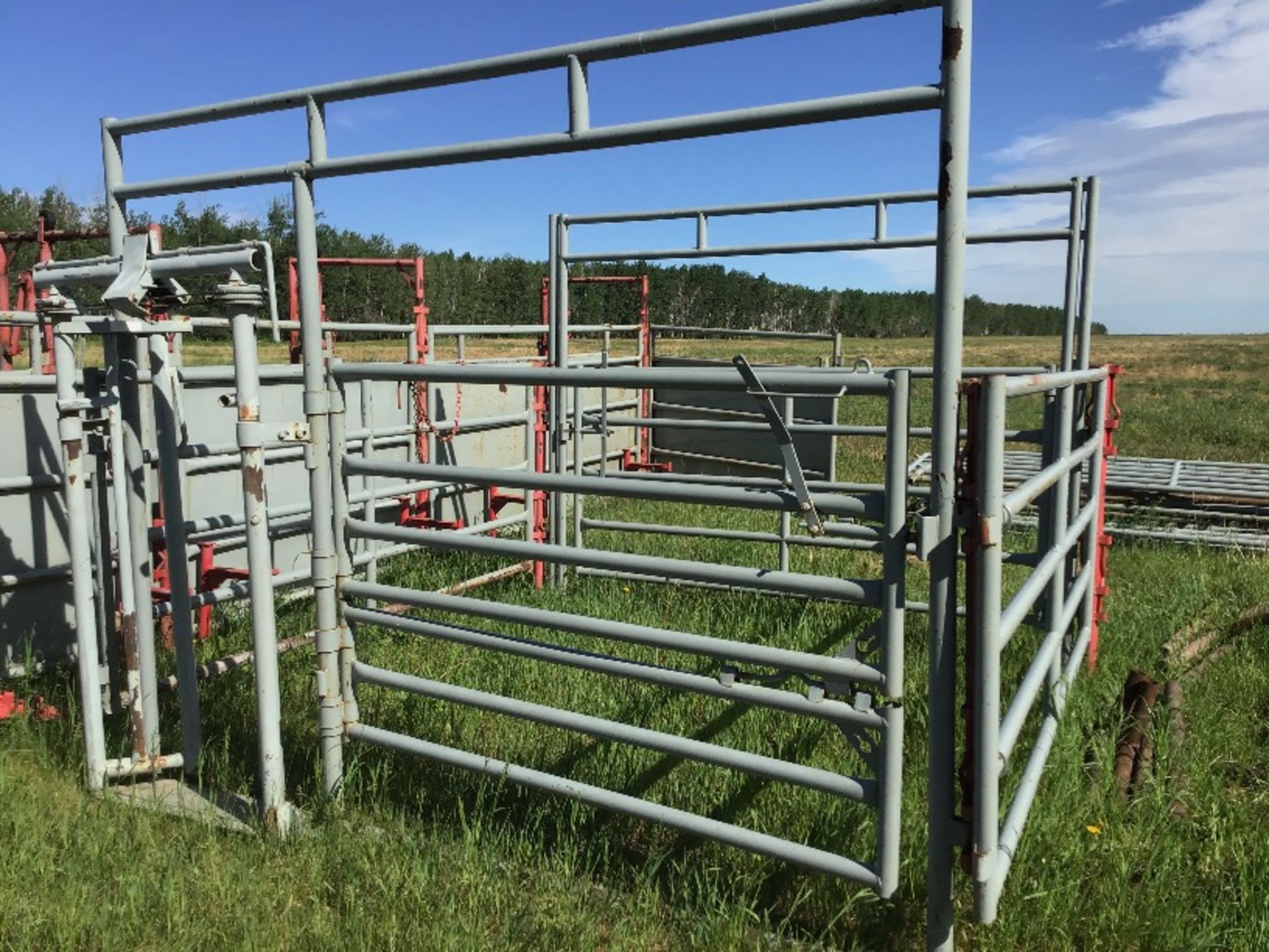 Maternity Pen