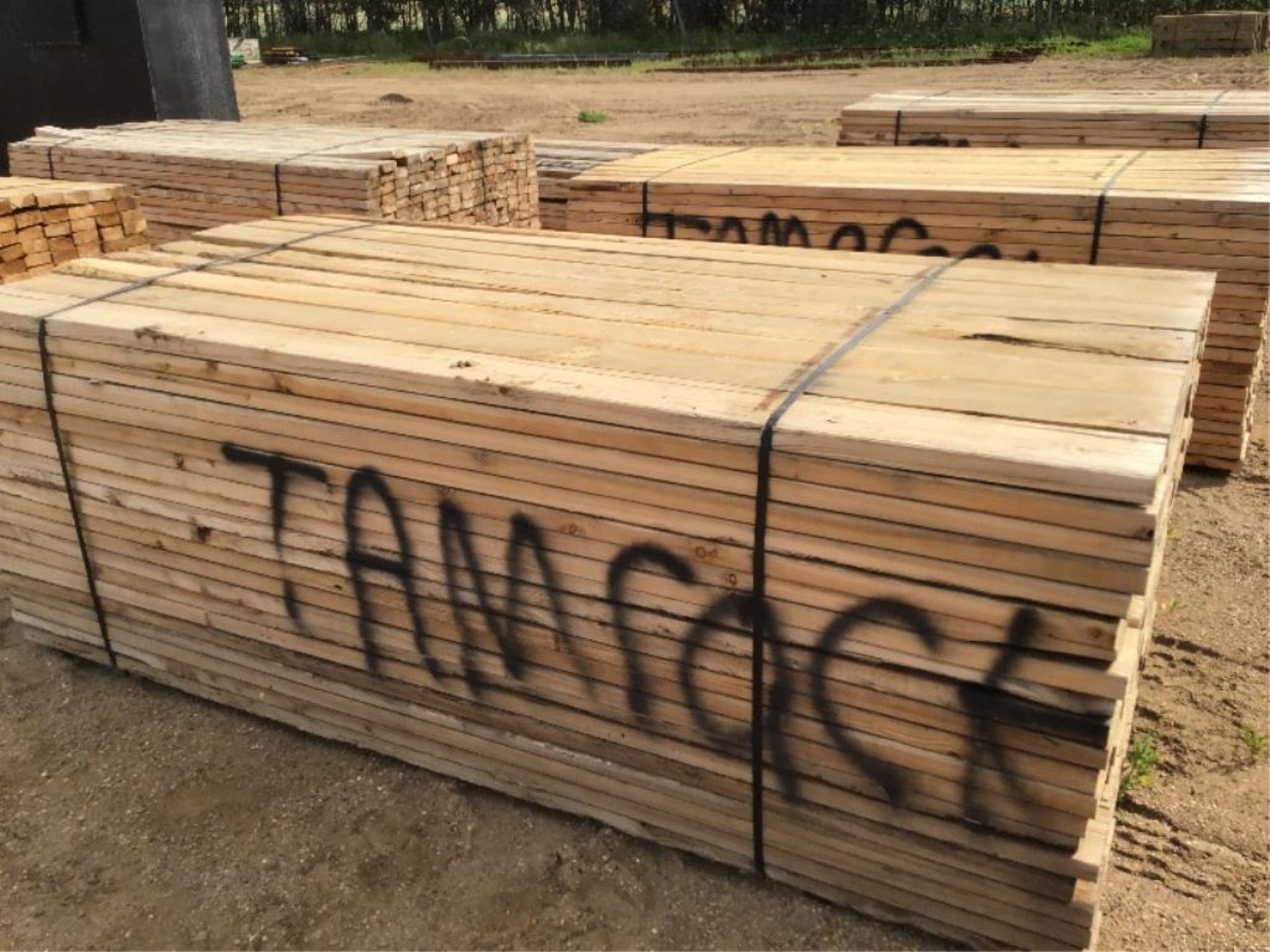 2x6x8 Tamarack Bundle