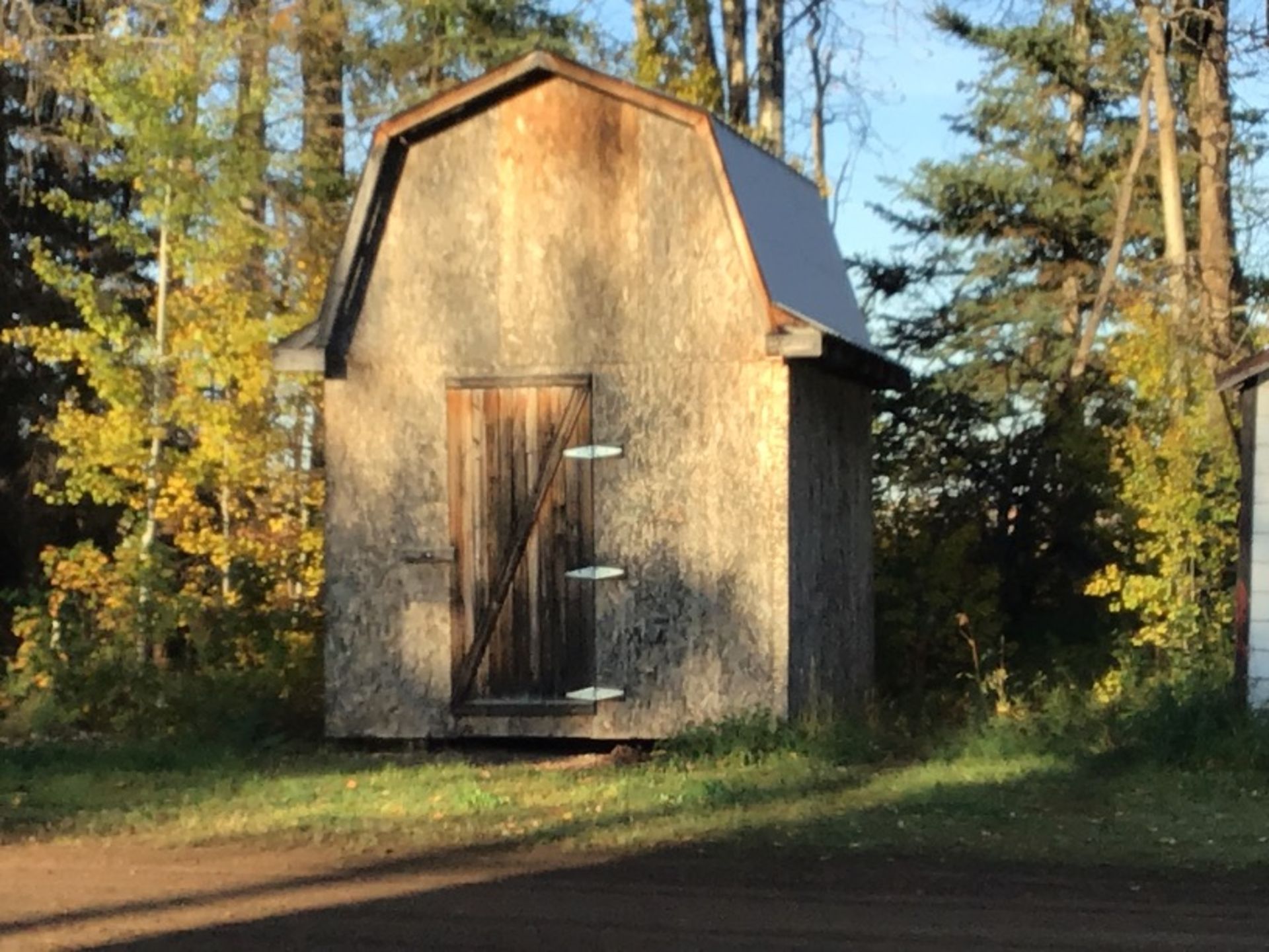 10x12 Shed