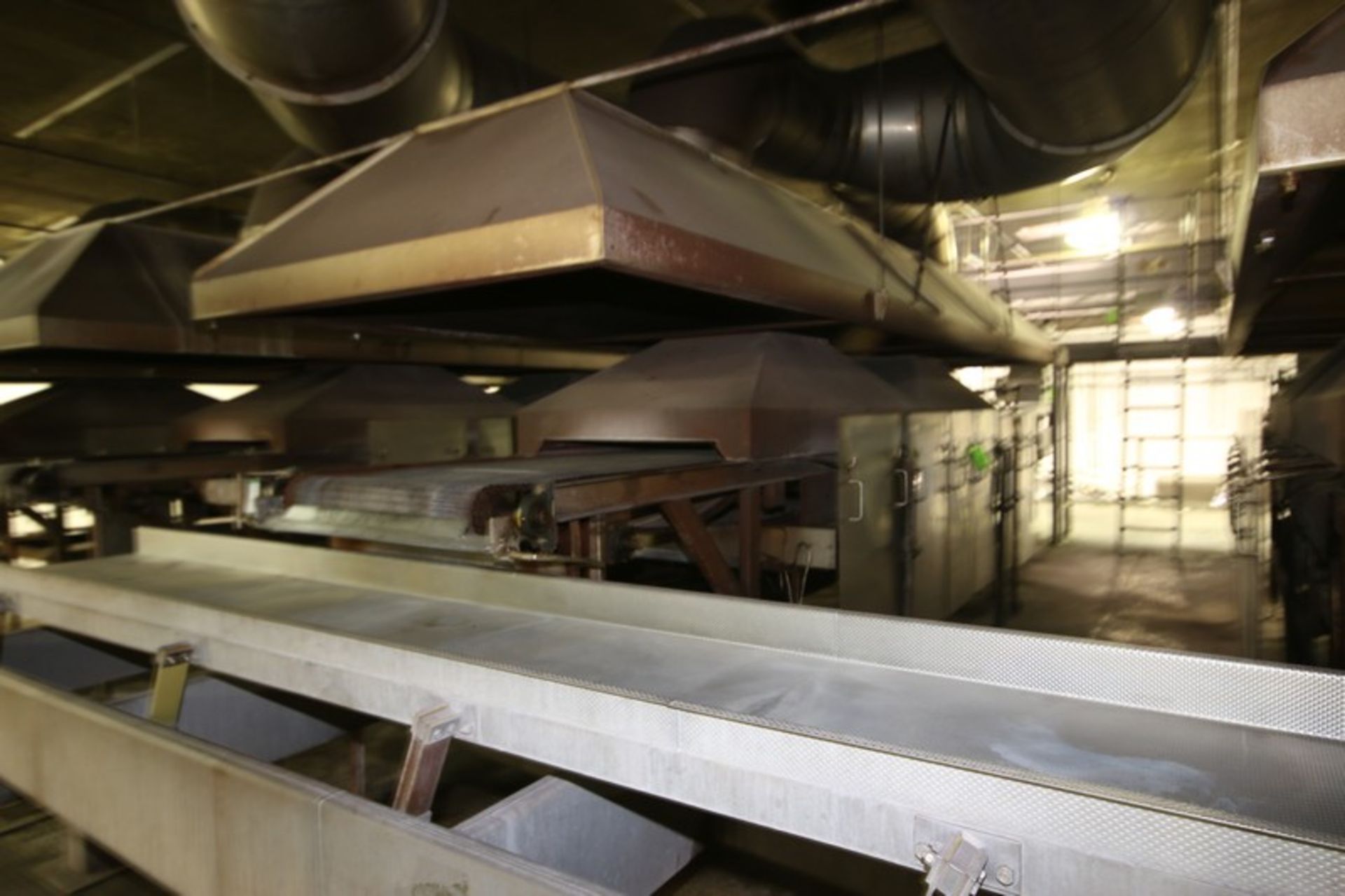 Natural Gas Fire Roaster #4, with Aprox. 33" W Belt, Includes S/S Exhaust Hood, Overall Dims.: - Image 2 of 4