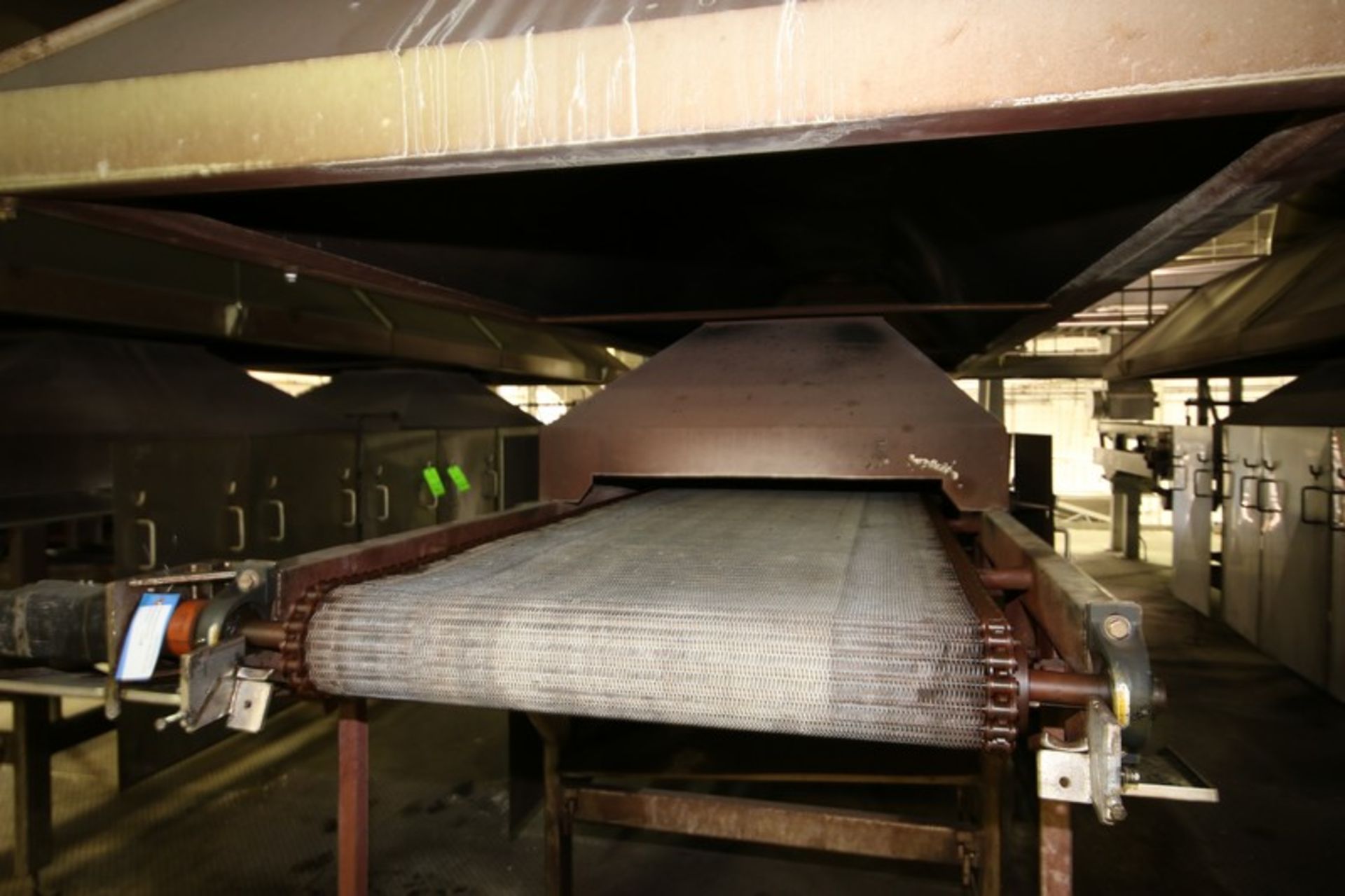 Natural Gas Fire Roaster #5, with Aprox. 33" W Belt, Includes S/S Exhaust Hood, Overall Dims.: - Image 2 of 3