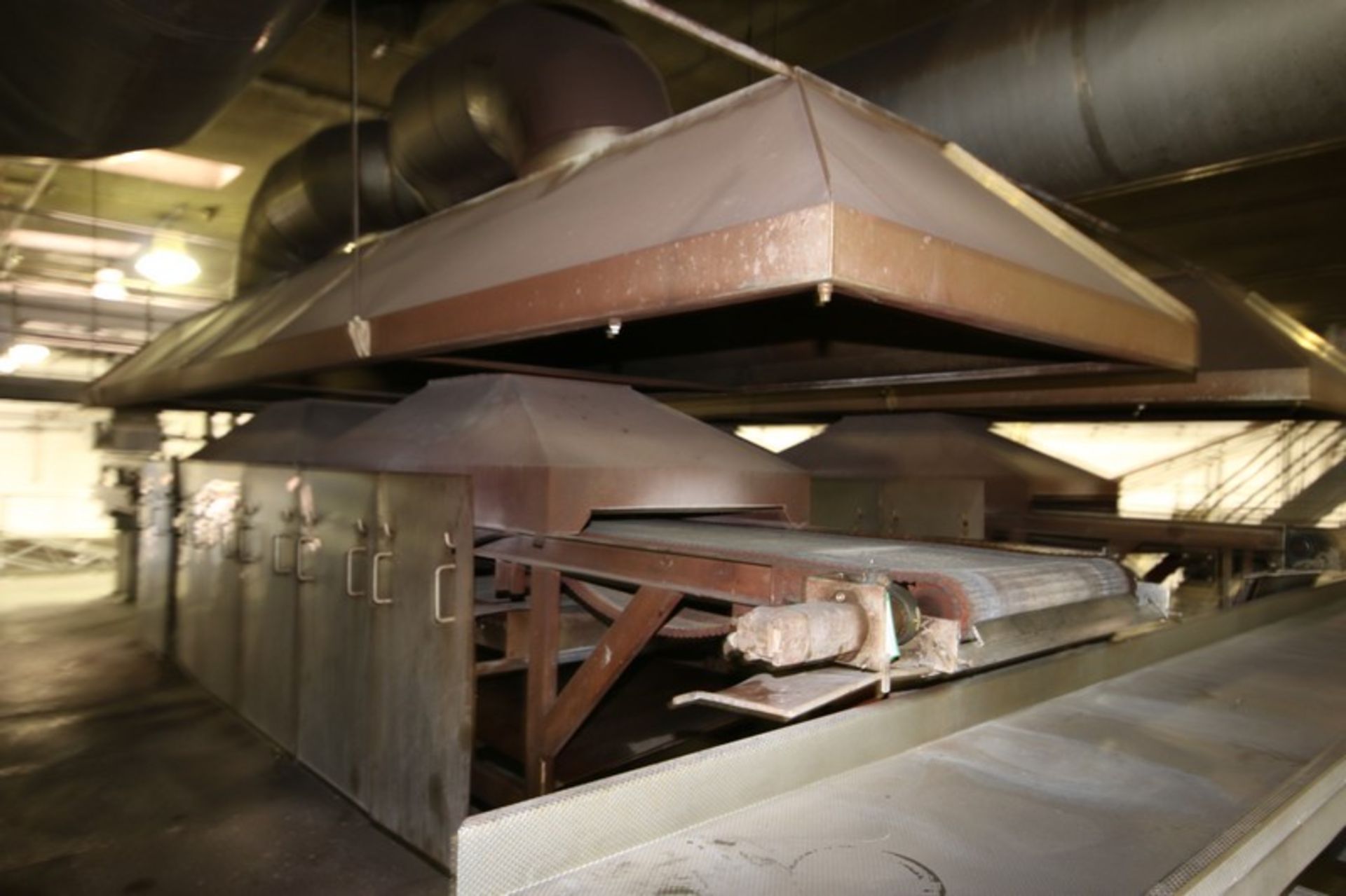 Natural Gas Fire Roaster #4, with Aprox. 33" W Belt, Includes S/S Exhaust Hood, Overall Dims.: - Image 4 of 4