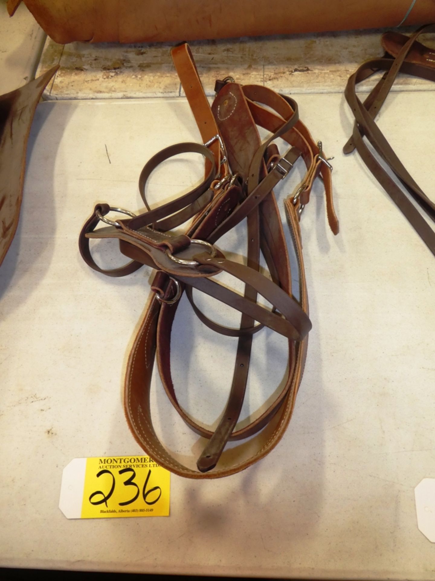 FULL SIZE OF HORSE BRITCHING - NEEDS BUCKLES