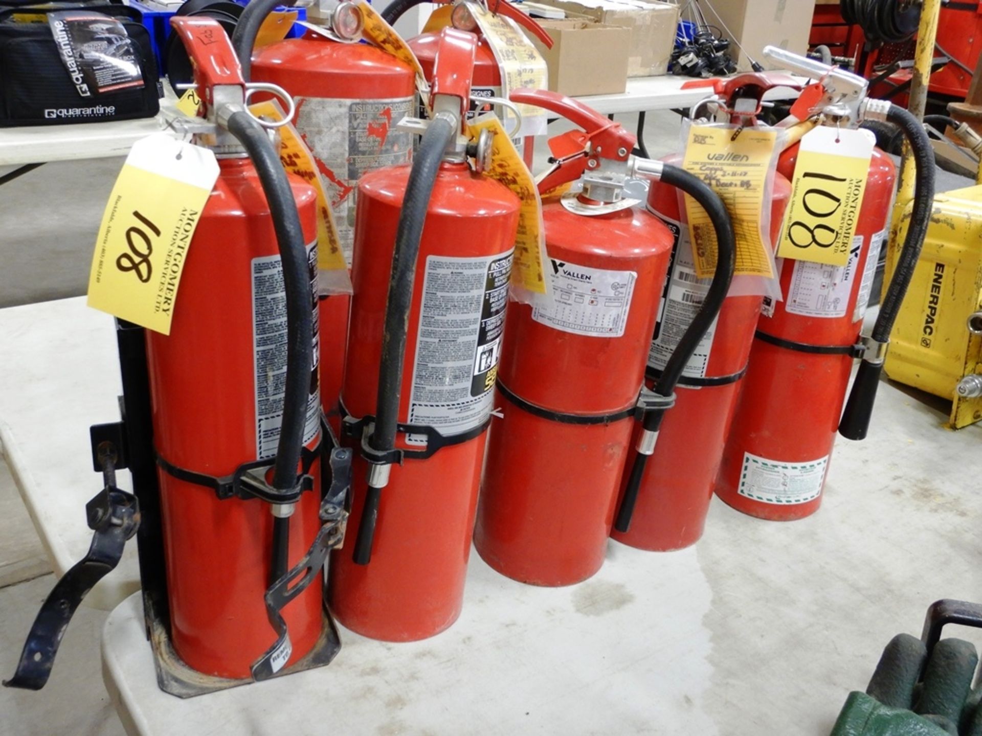 L/O 5 - 10LB FIRE EXTINGUISHERS W/ MOUNT