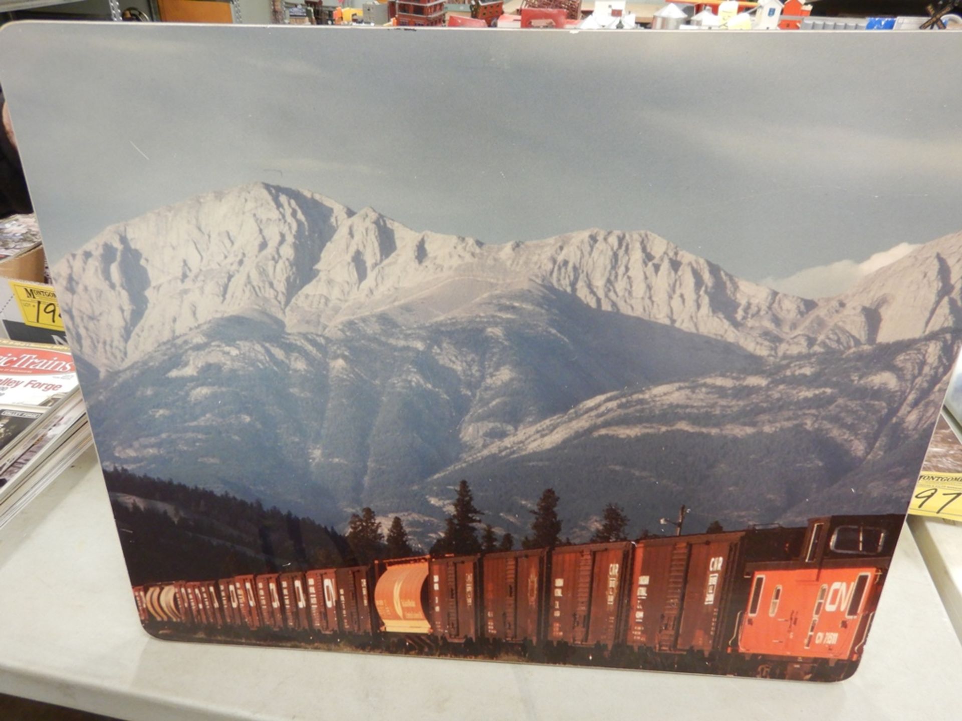 2-SCENERY PICTURES OF CN FREIGHT CARS