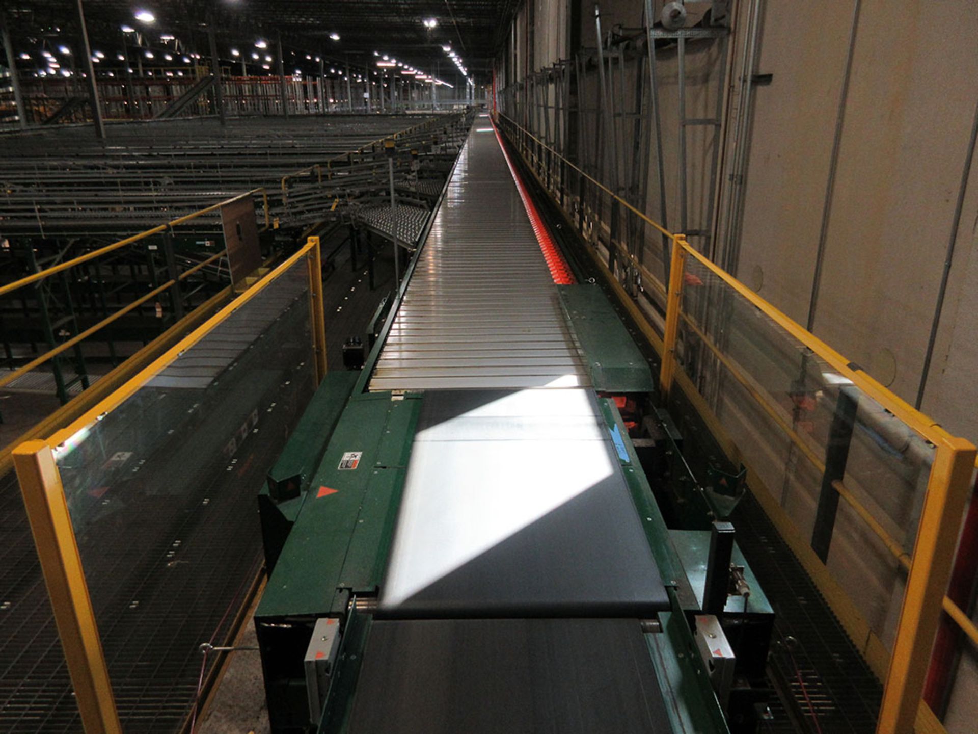 RAPID STAND DERMADIC 50-LANE SORTING SYSTEM WITH OUTLET CURVE CONVEYOR
