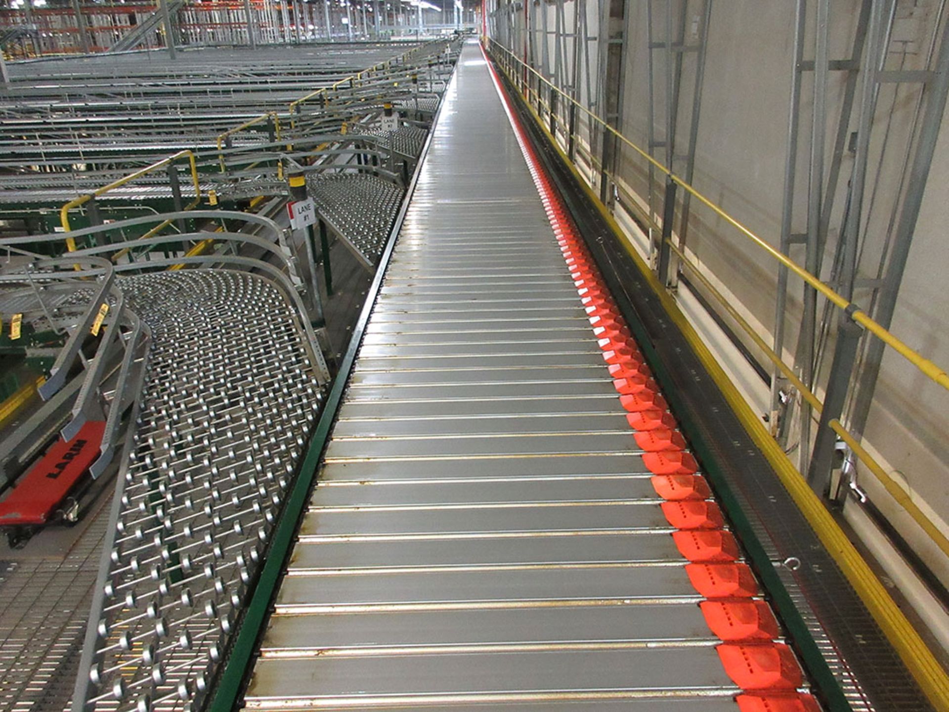 RAPID STAND DERMADIC 50-LANE SORTING SYSTEM WITH OUTLET CURVE CONVEYOR - Image 2 of 4