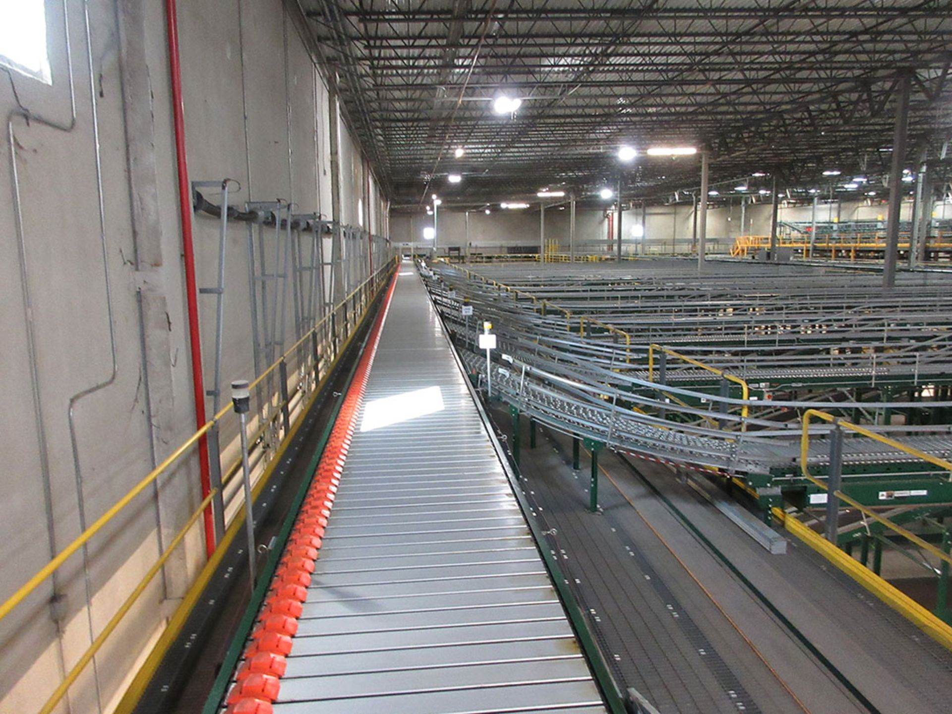 RAPID STAND DERMADIC 50-LANE SORTING SYSTEM WITH OUTLET CURVE CONVEYOR - Image 3 of 4