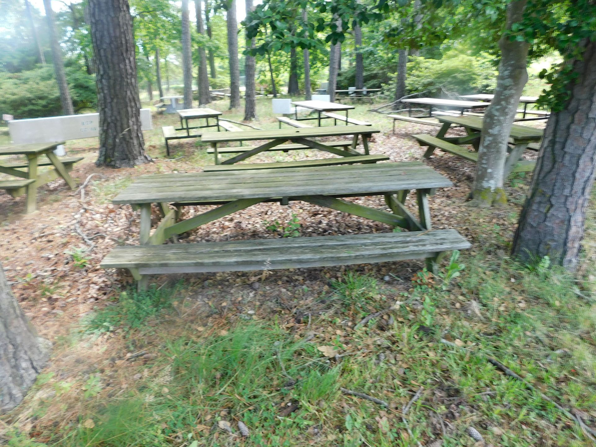 LOT OF PICNIC TABLES & BENCHES - Image 2 of 2