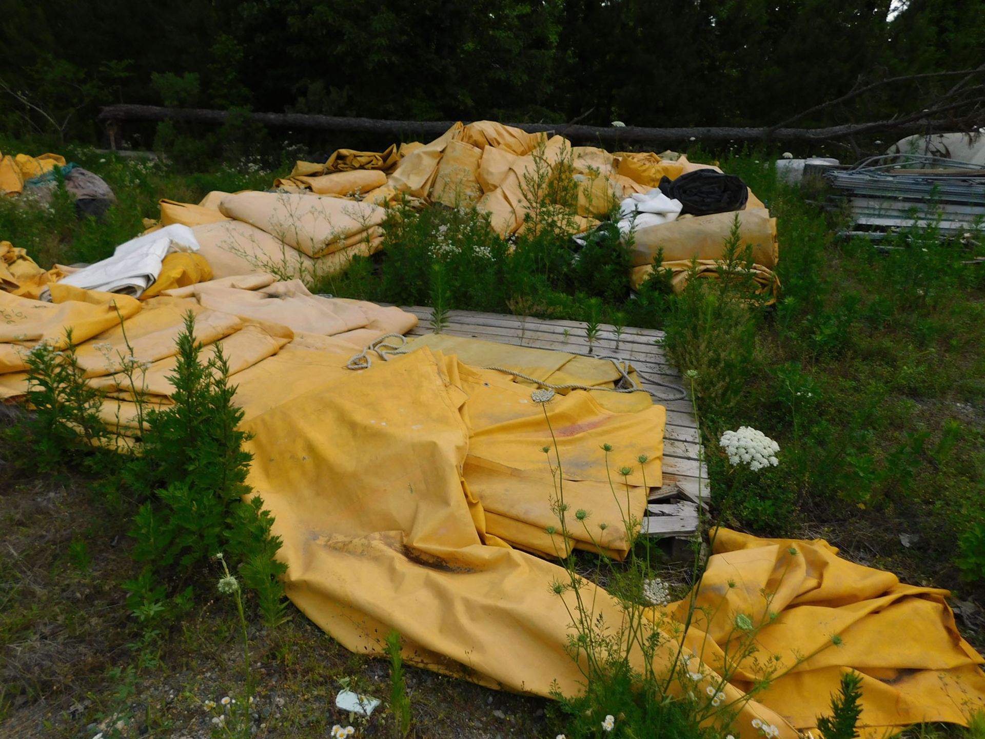 LOT OF HEAVY DUTY TARPS - Image 2 of 2