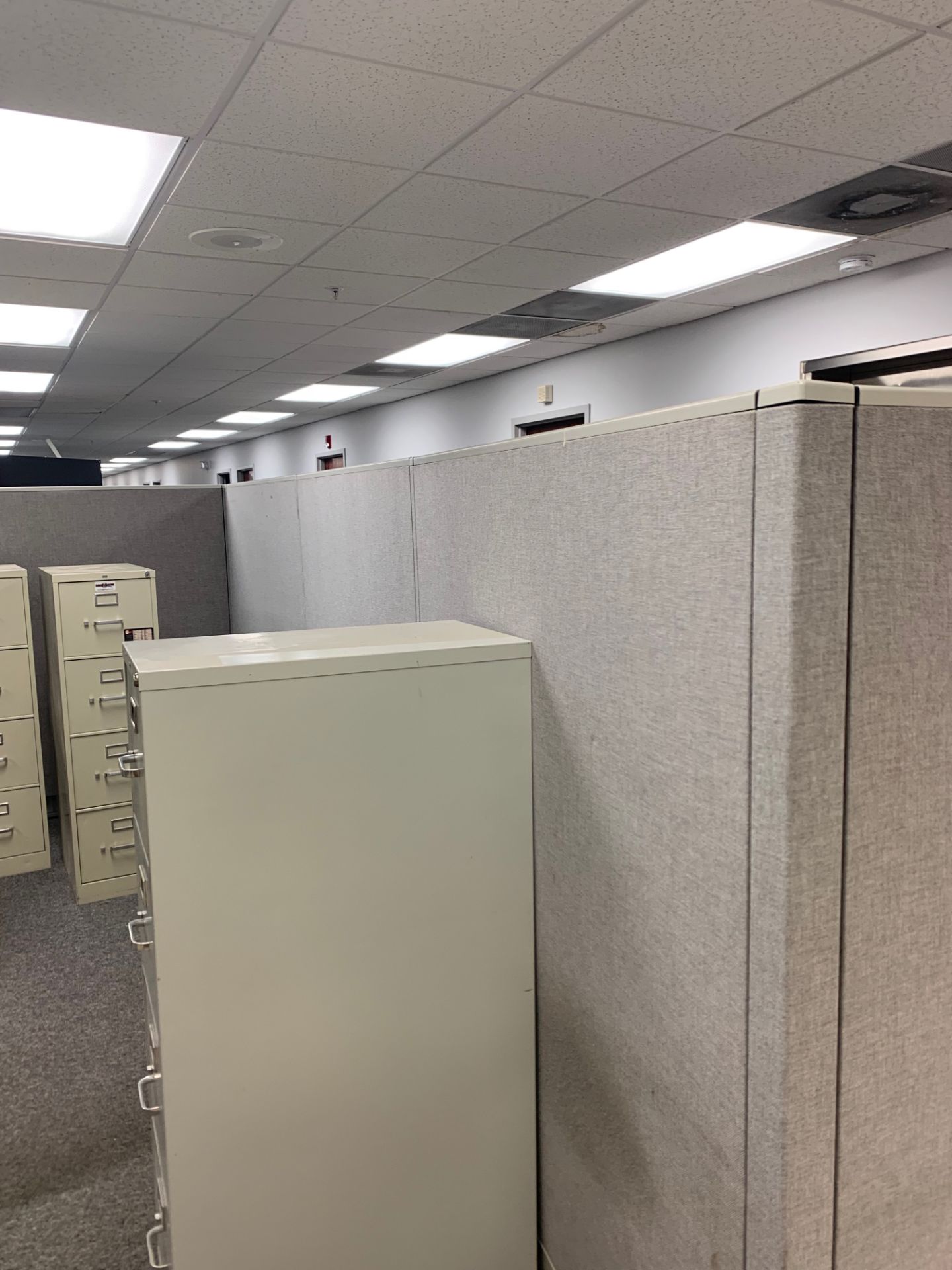 PARTITION WALL & (11) FILING CABINETS