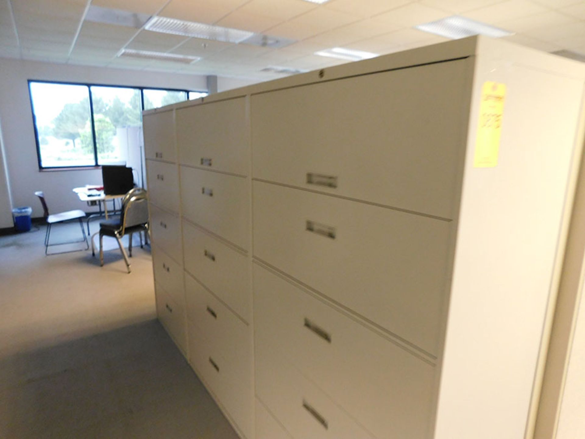 FIRST CUBICAL & SURROUNDING CABINETS